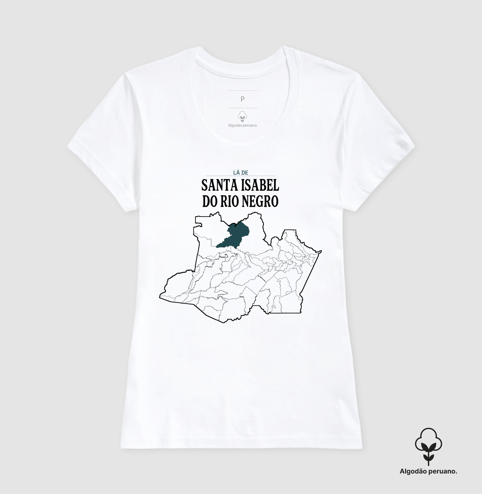 Santa Isabel do Rio Negro | Território AM - Imagem 3