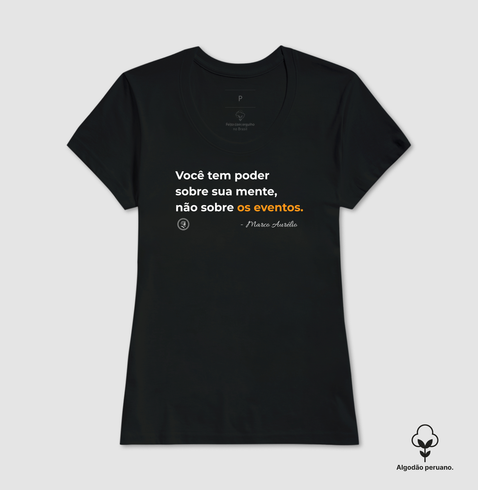 Estoicismo de Marco Aurélio " Poder" - Imagem 7