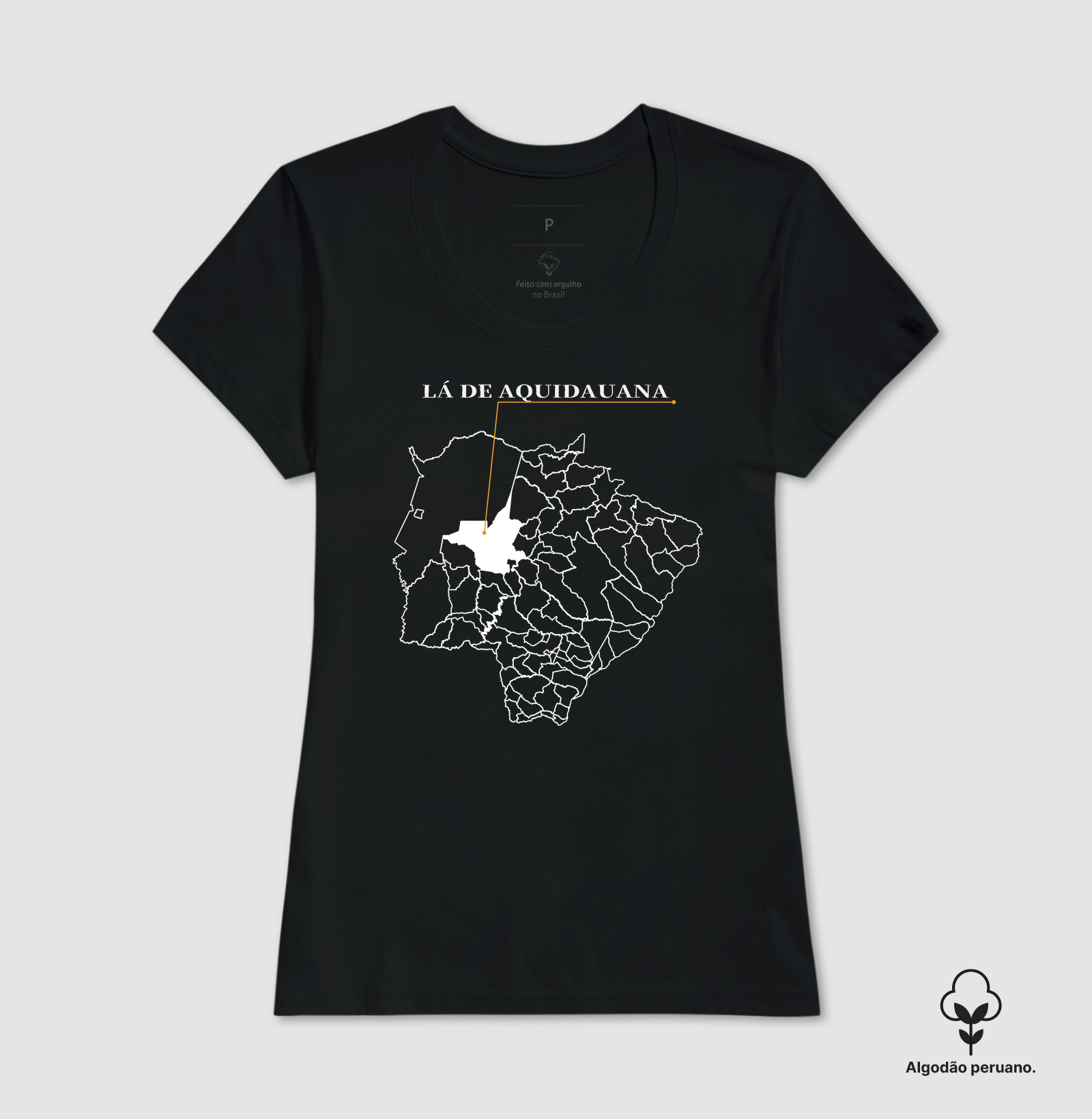 Aquidauana | Origem MS - Imagem 6