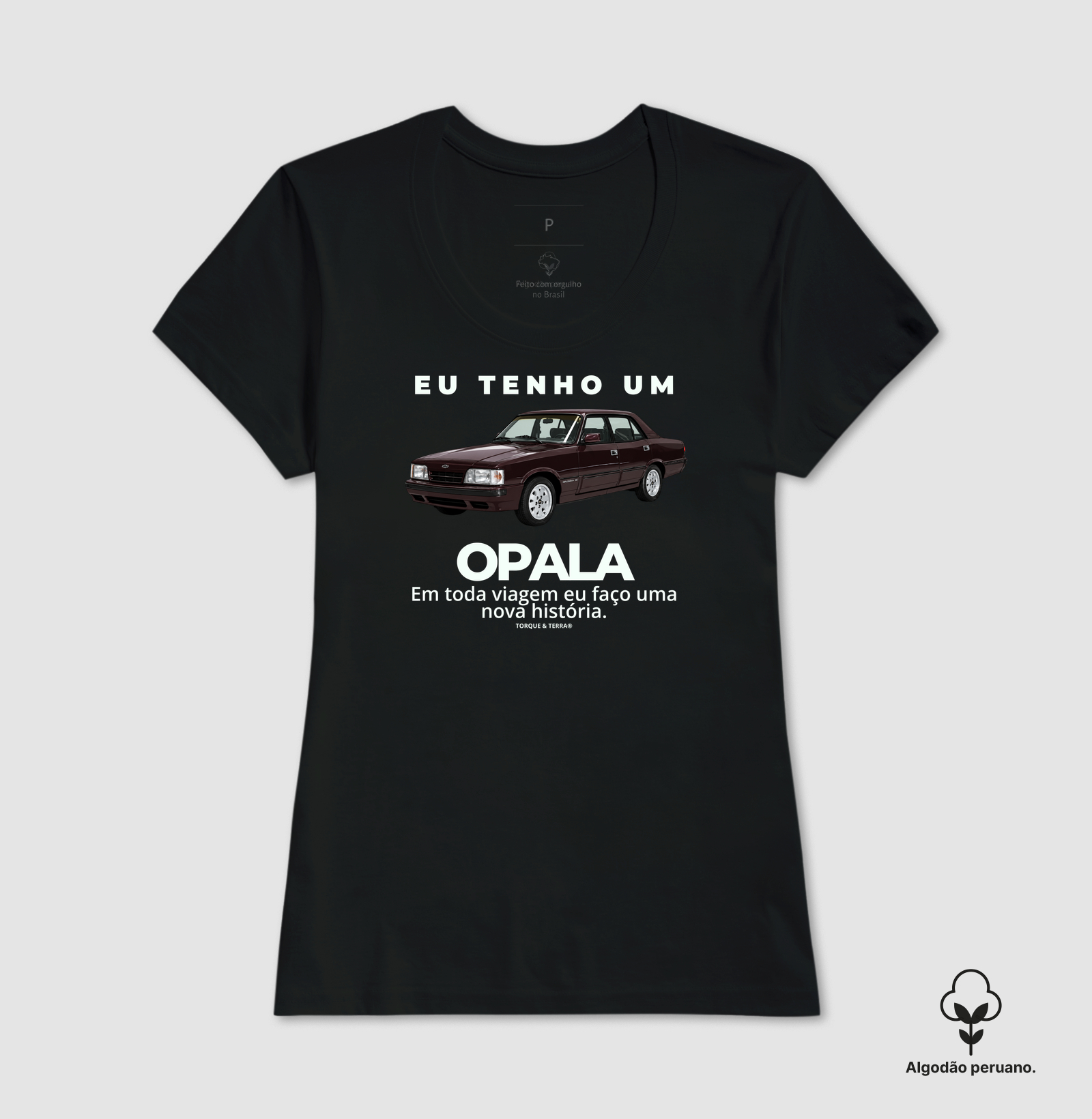 Eu tenho um Opala Diplomata vinho - Imagem 4