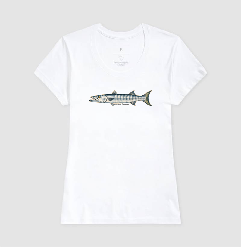 Barracuda - Imagem 5