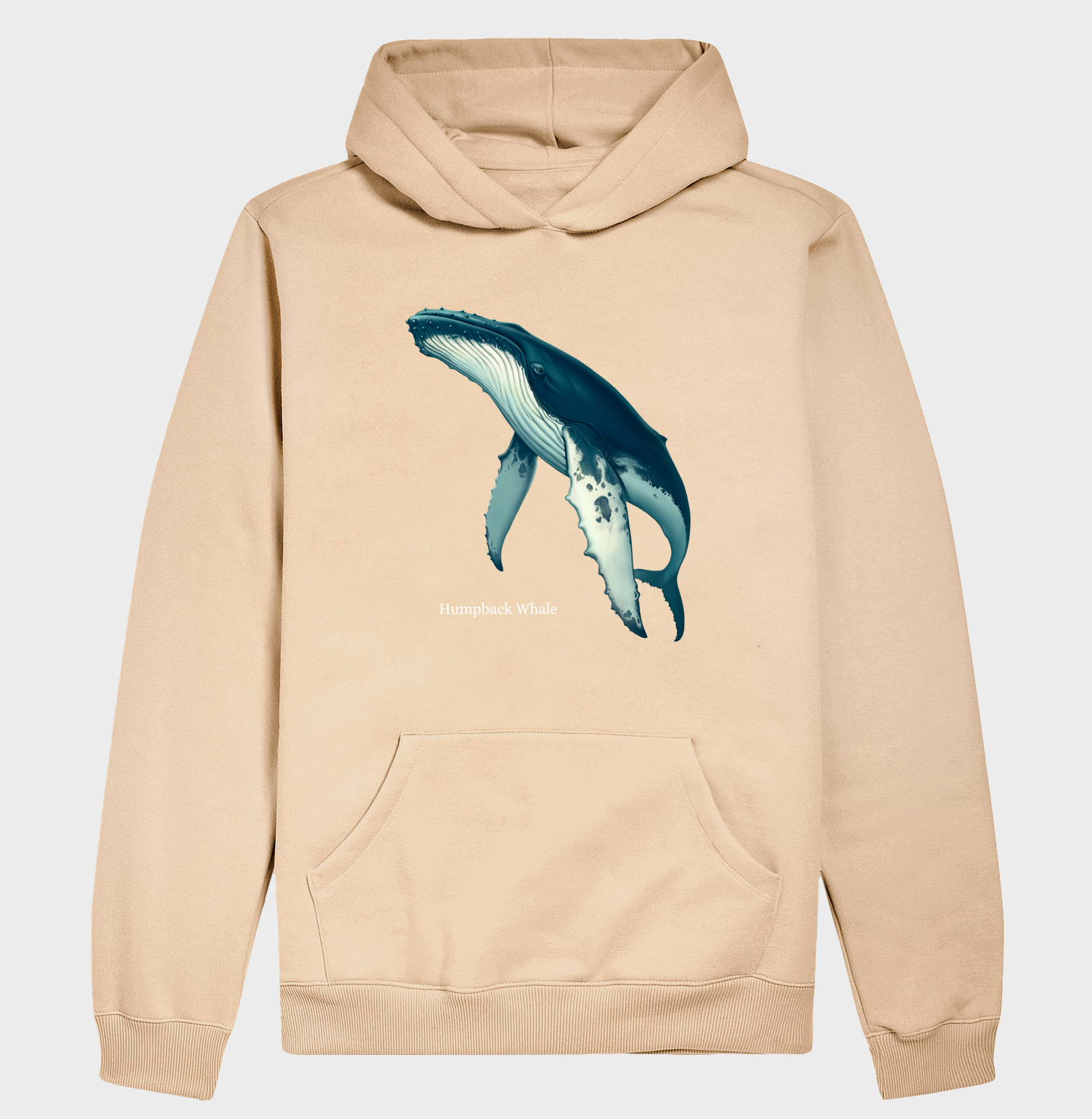 Humpback Whale - Imagem 7