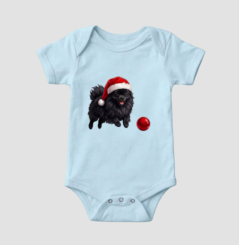 Pomerânia Preta - Natal - Imagem 4