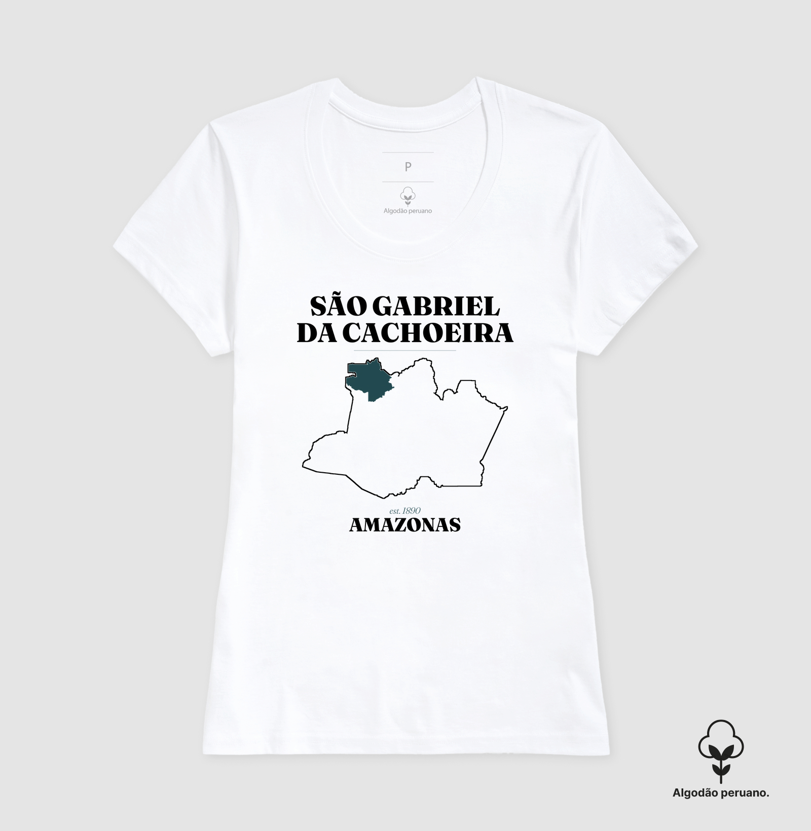 São Gabriel da Cachoeira | Legado AM - Imagem 6