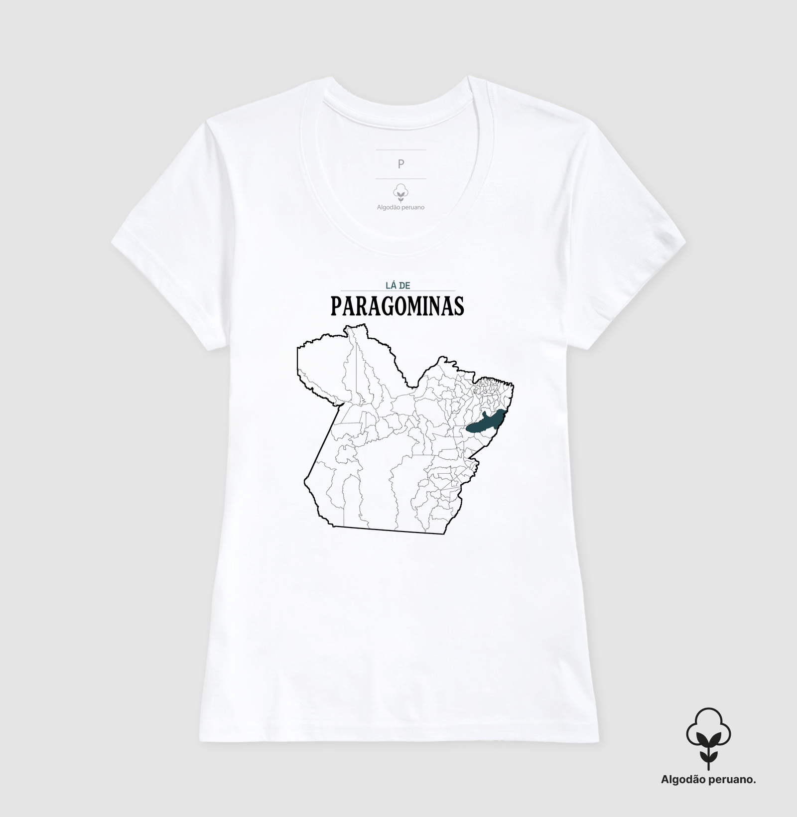 Paragominas | Território PA - Imagem 7