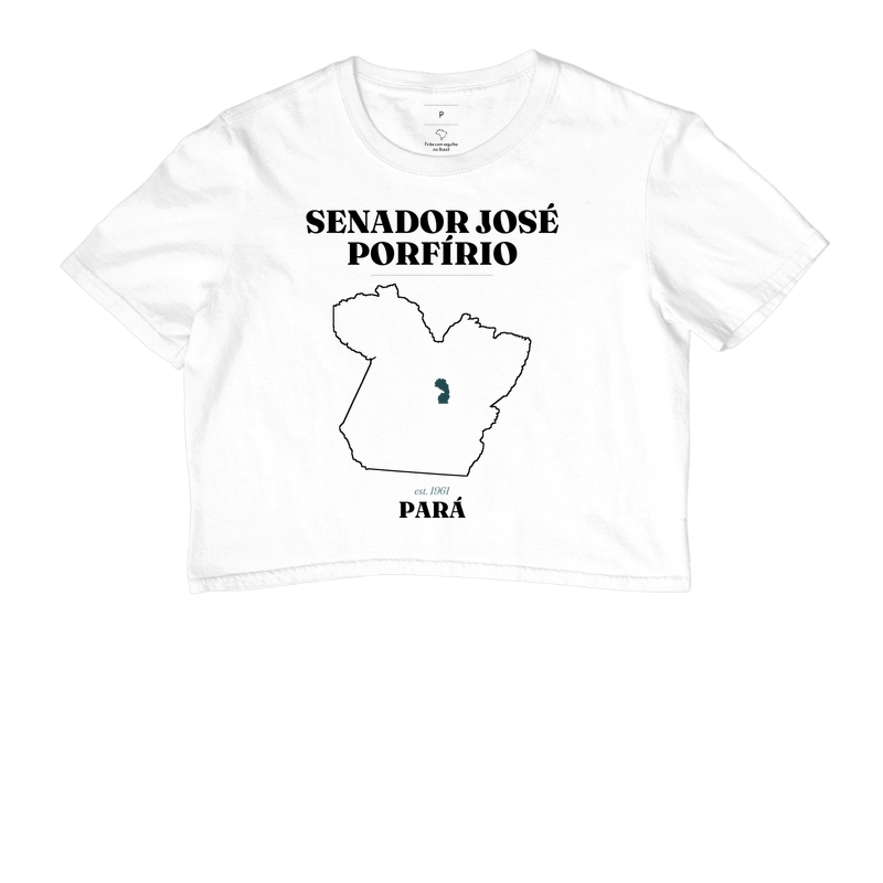 Senador José Porfírio | Legado PA - Imagem 3
