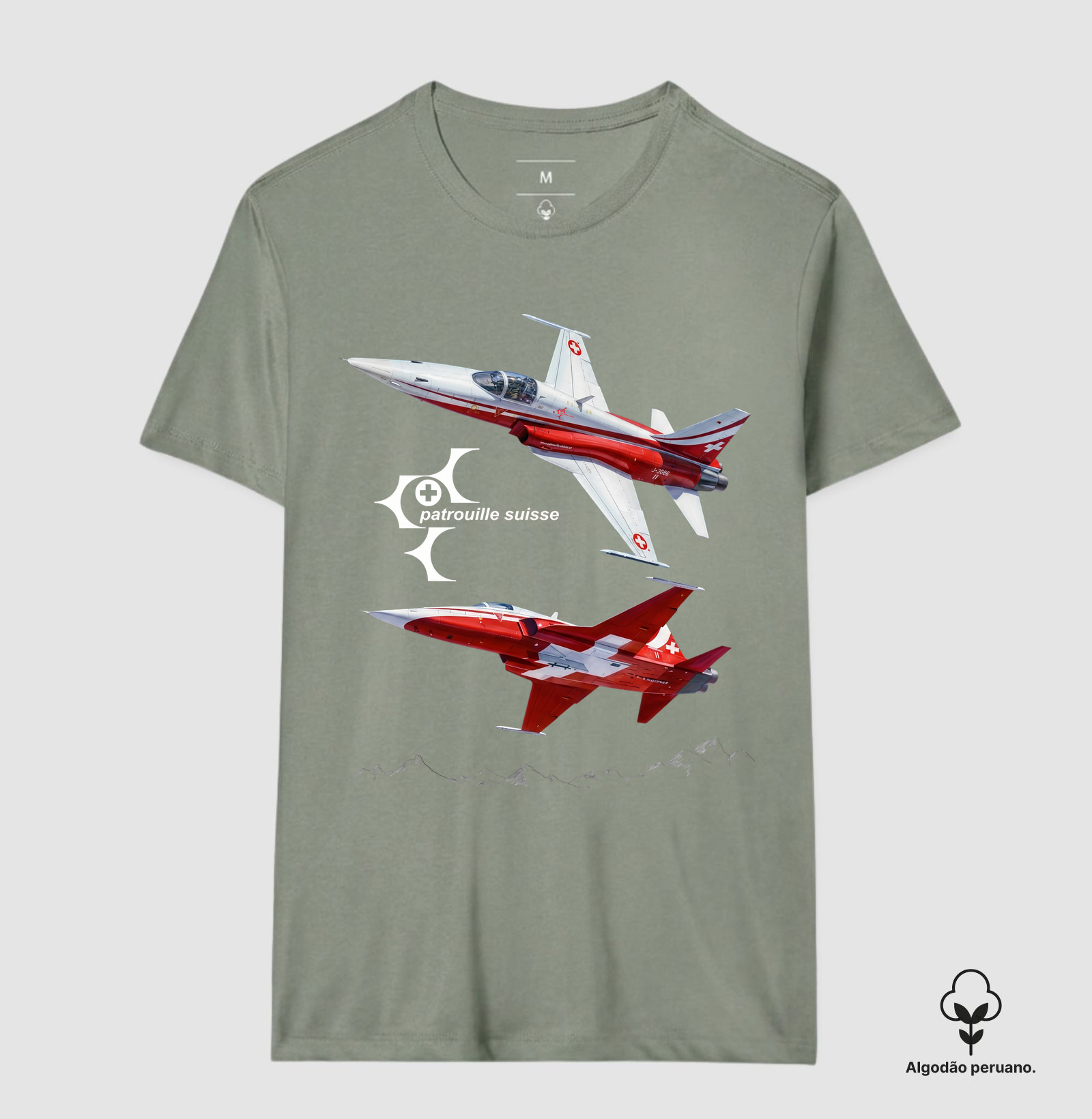 F-5 Patruille Suisse - Imagem 3