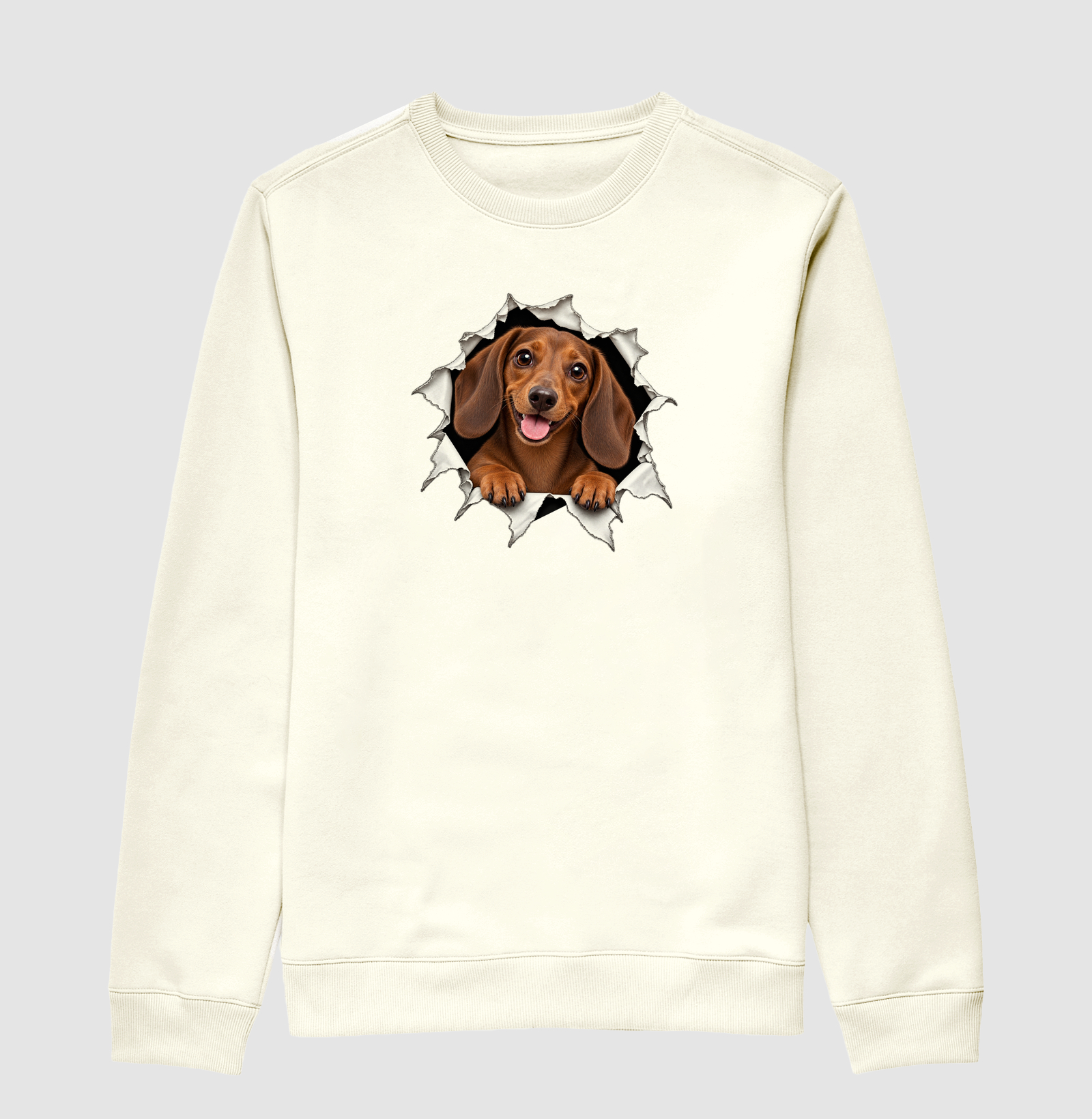 Dachshund Saindo Pelo Rasgo - Imagem 2
