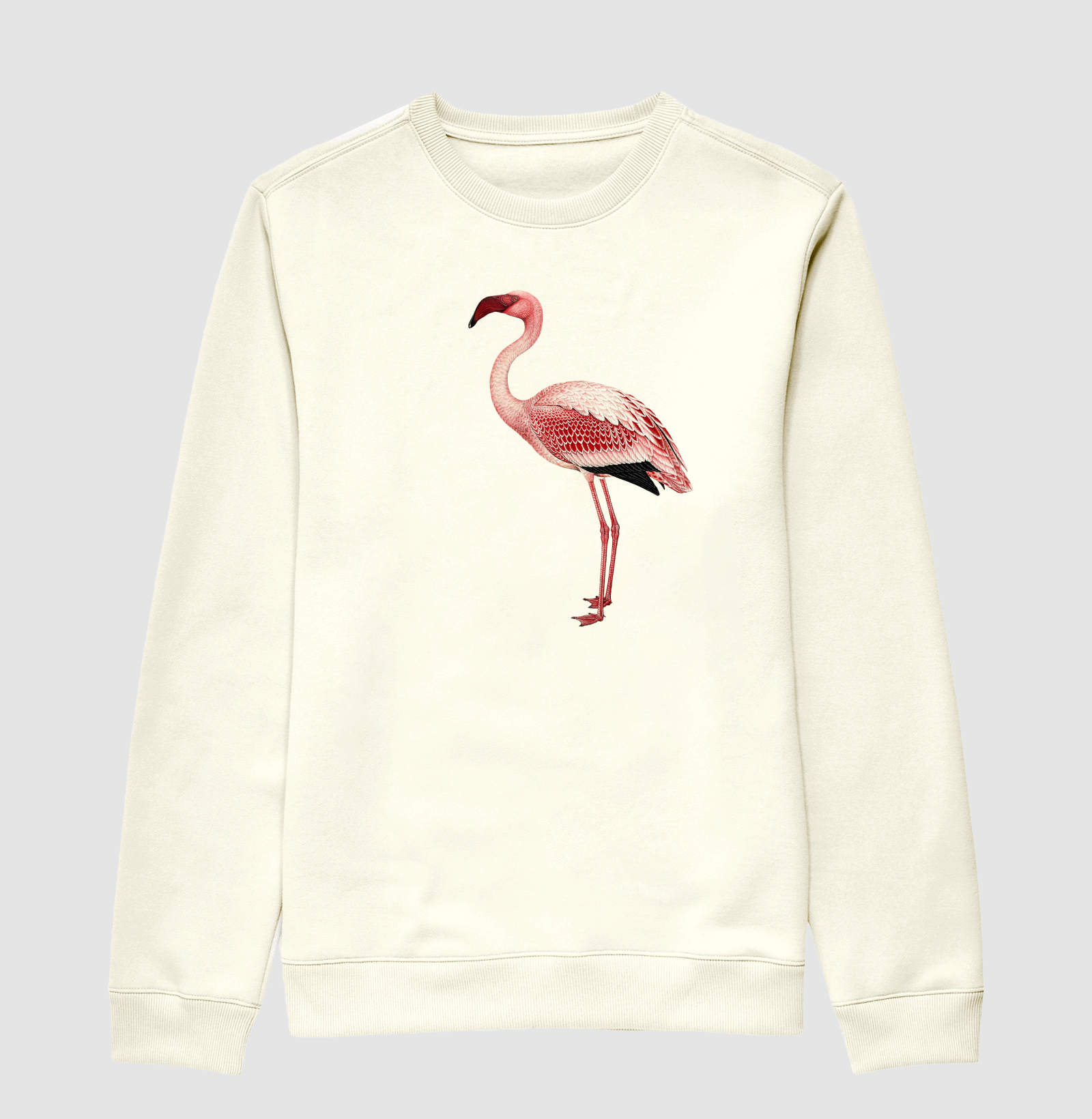 Flamingo - Imagem 2