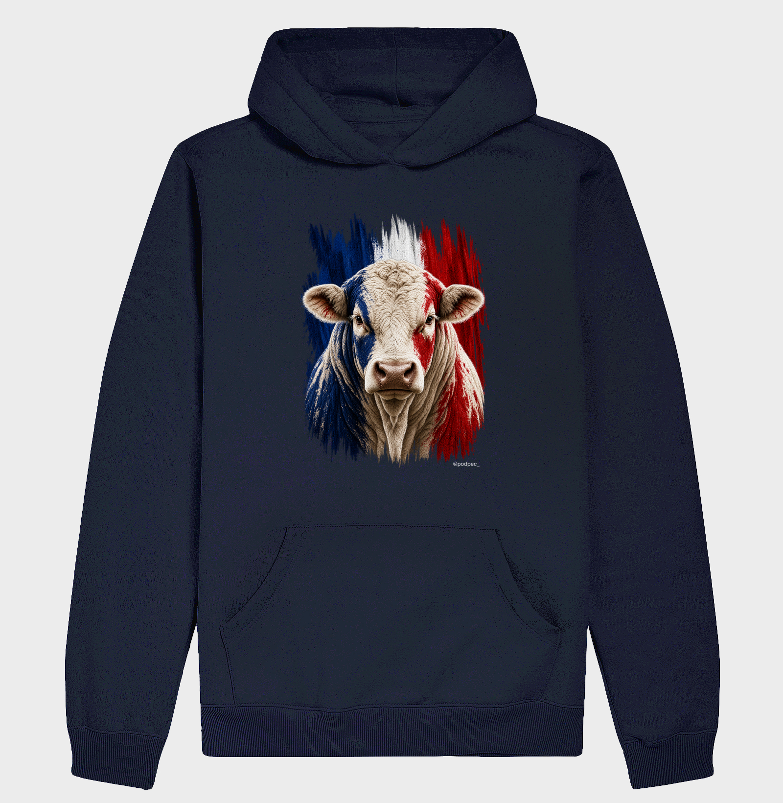 Charolês da França - Imagem 4
