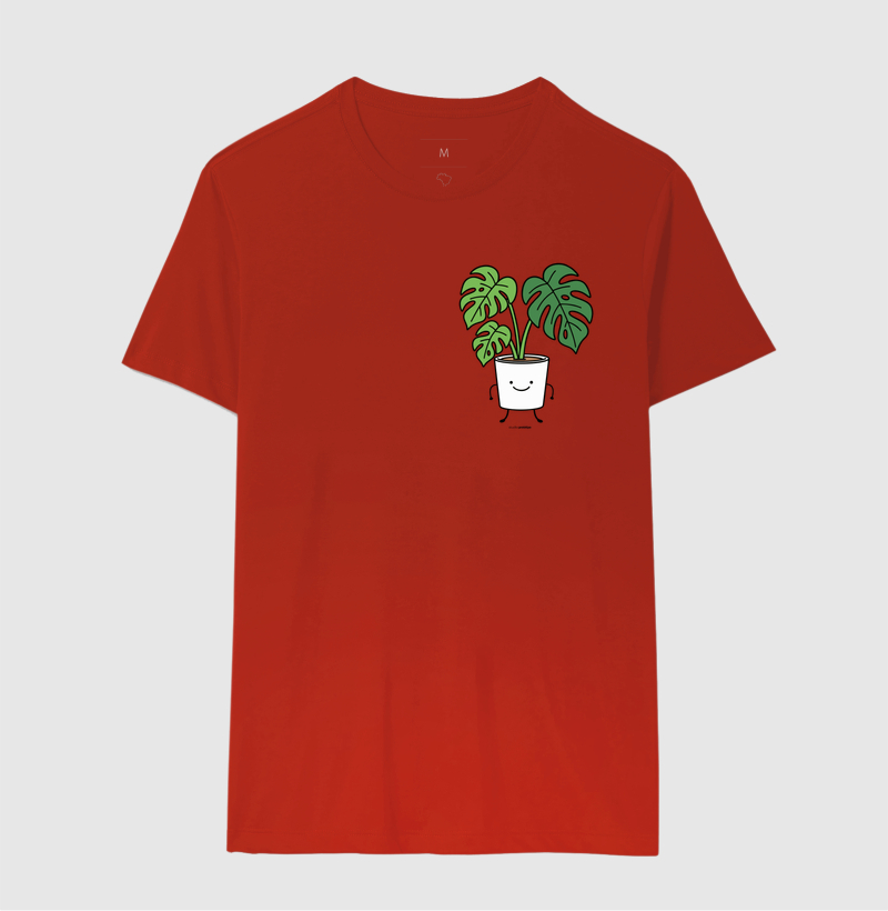 Monstera (Costela de Adão) - Imagem 7