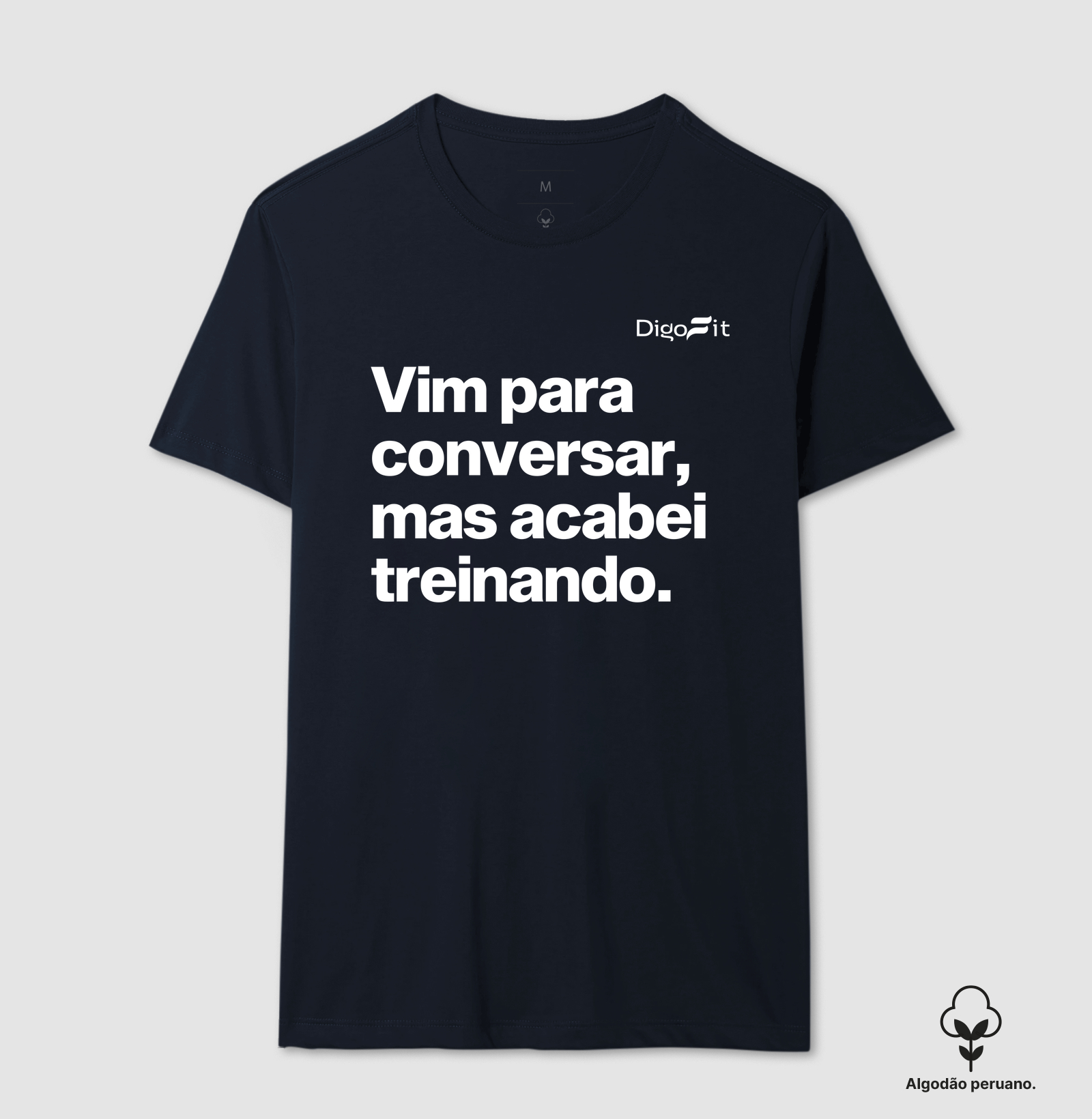 CAMISETA ALGODÃO PERUANO ACADEMIA VIM PARA CONVERSAR - Imagem 5