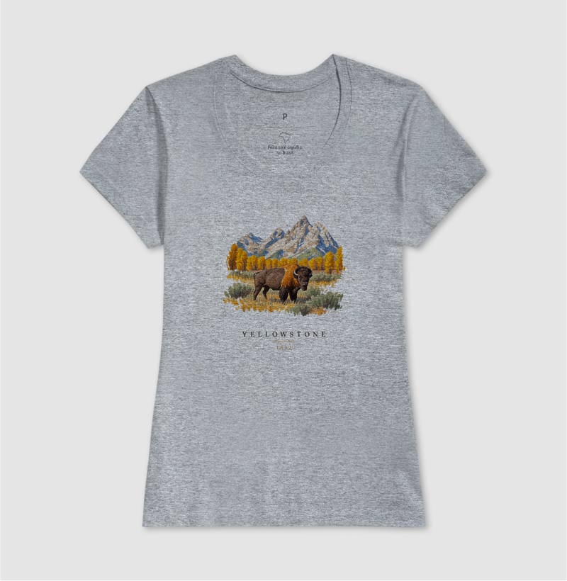 Bison - Yellowstone - Imagem 9