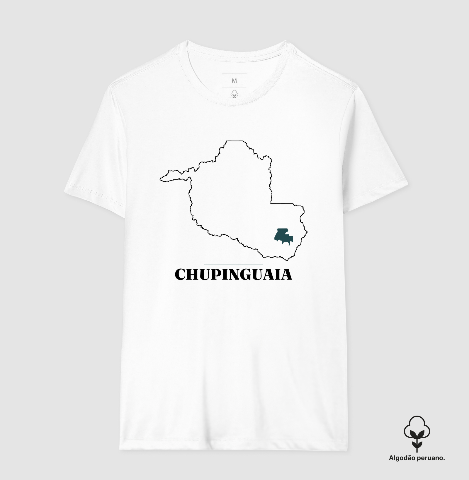Chupinguaia | Traço RO - Imagem 4