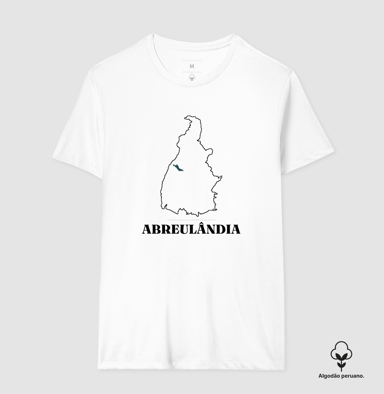 Abreulândia | Traço TO - Imagem 6