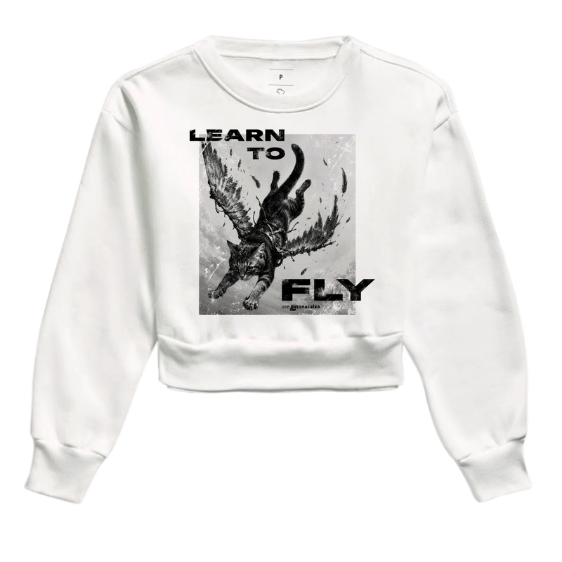 Learn to Fly - Imagem 3