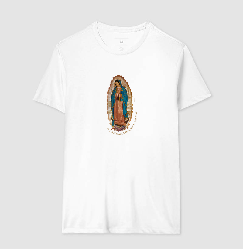 Nossa Senhora de Guadalupe  - Imagem 4