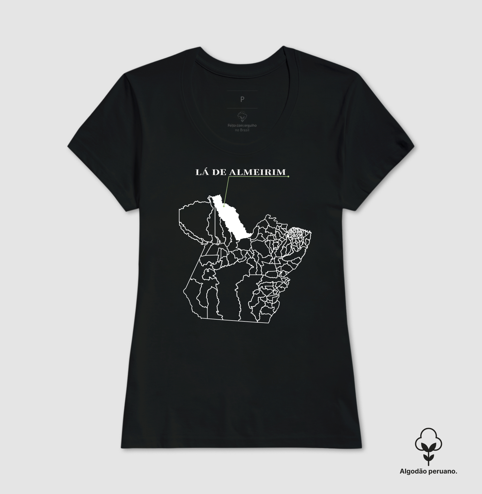 Almeirim | Origem PA - Imagem 5