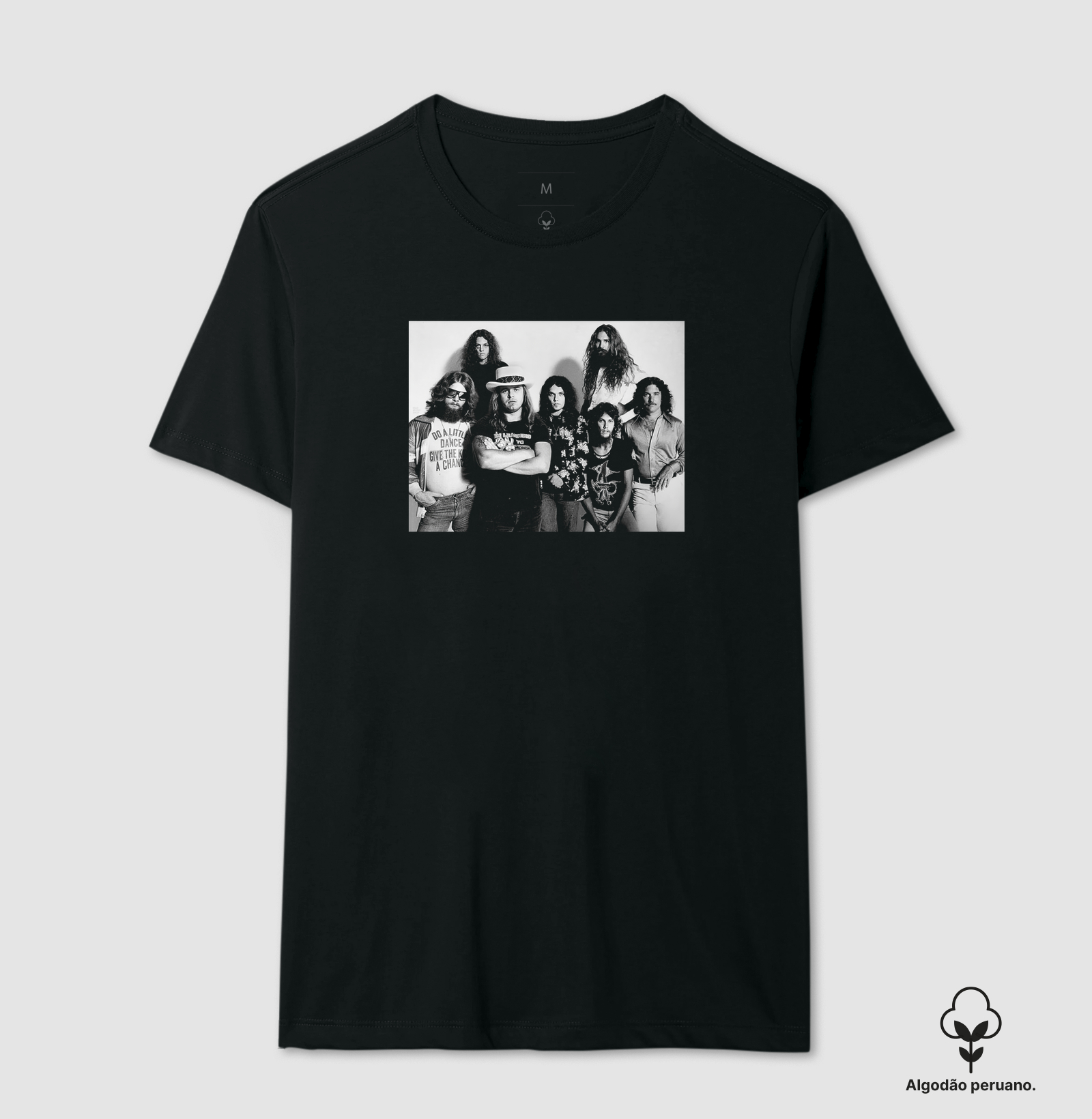 Lynyrd Skynyrd - 1977 - Imagem 12