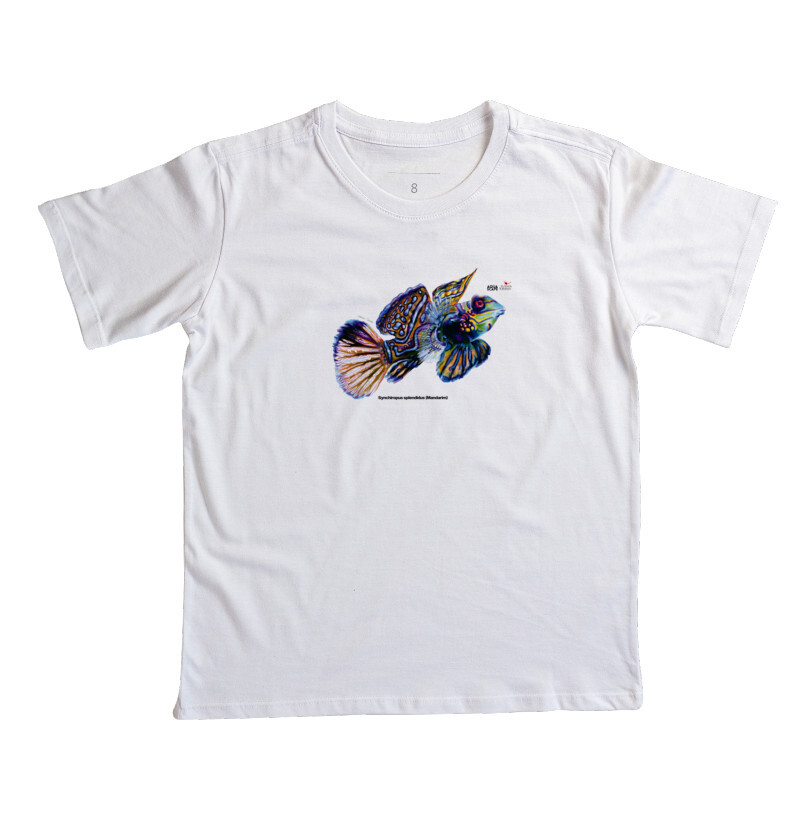 Mandarim - Synchiropus splendidus - Infantil