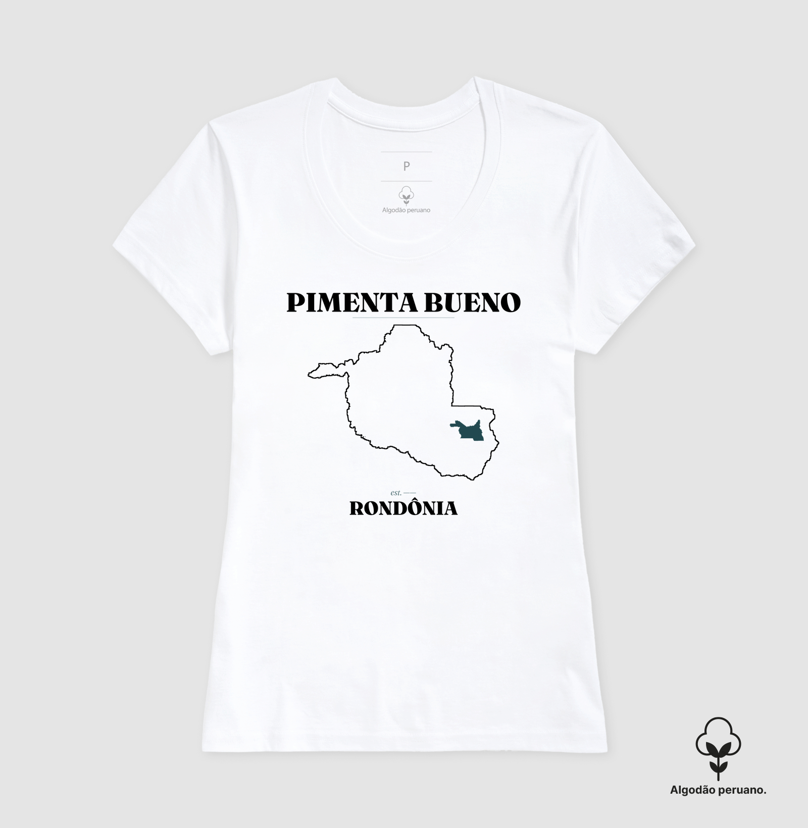 Pimenta Bueno | Legado RO - Imagem 3