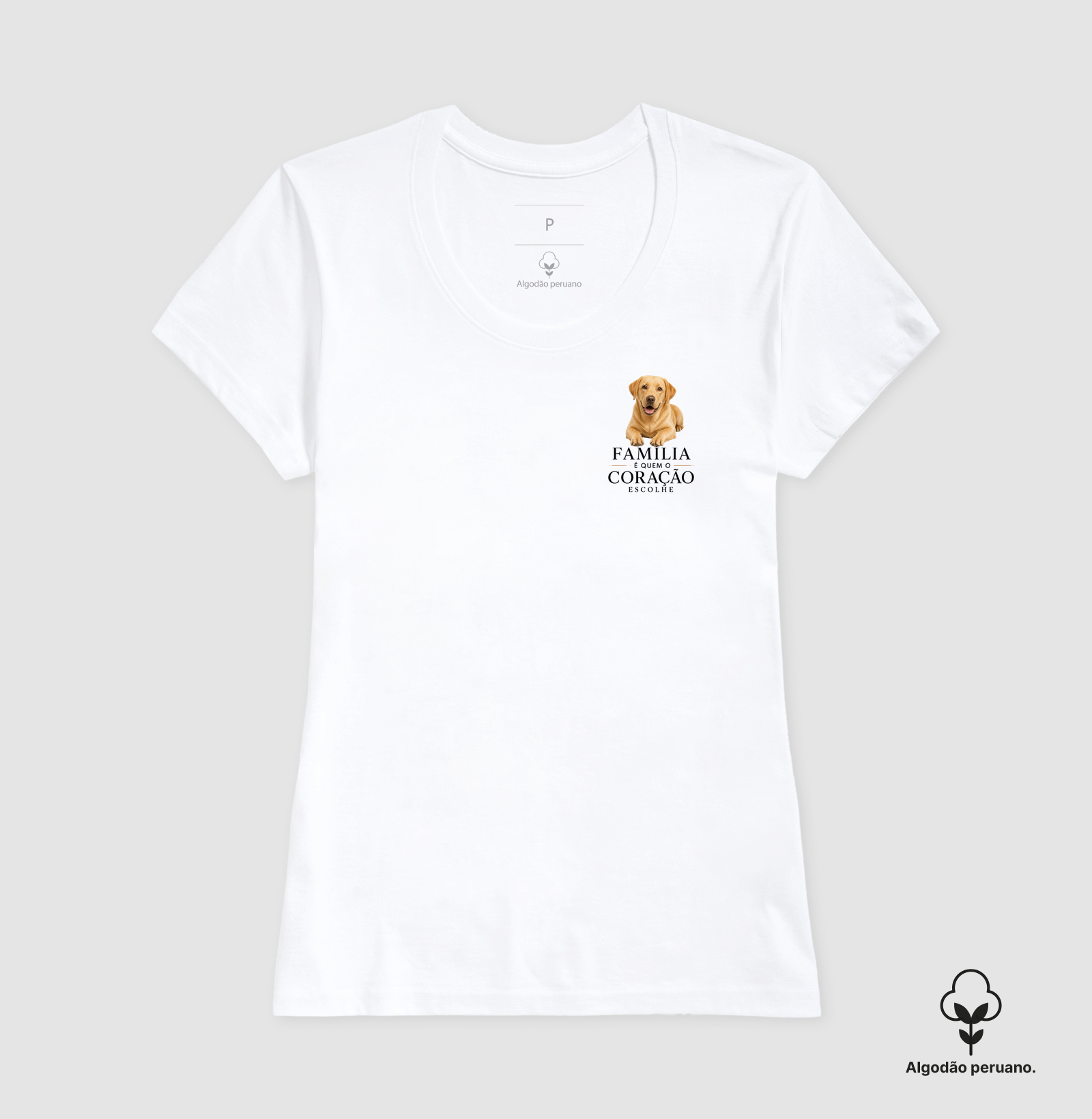 Labrador - Família - Imagem 8