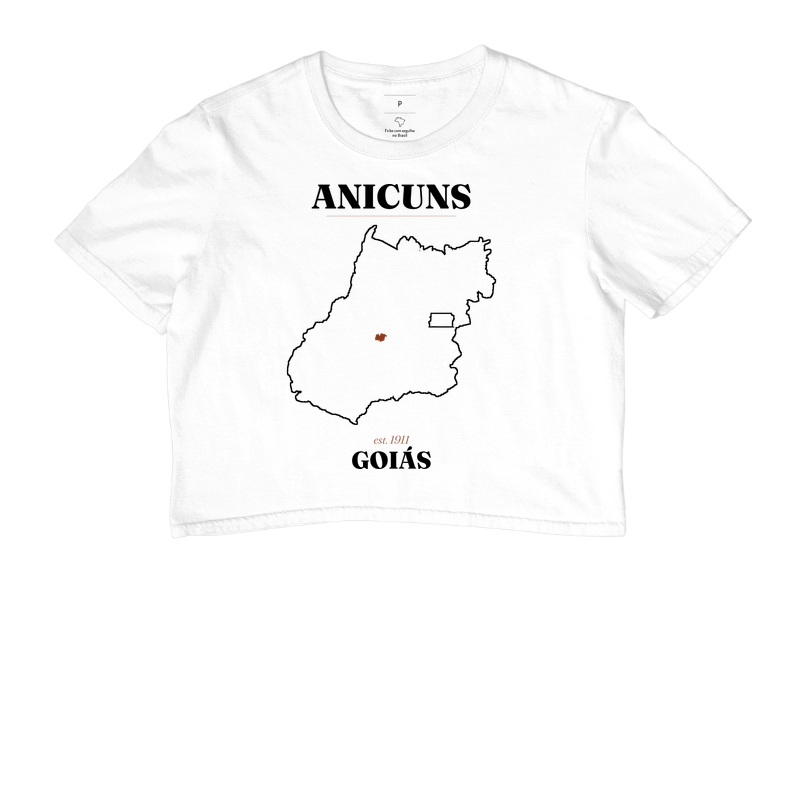 Anicuns | Legado GO - Imagem 3