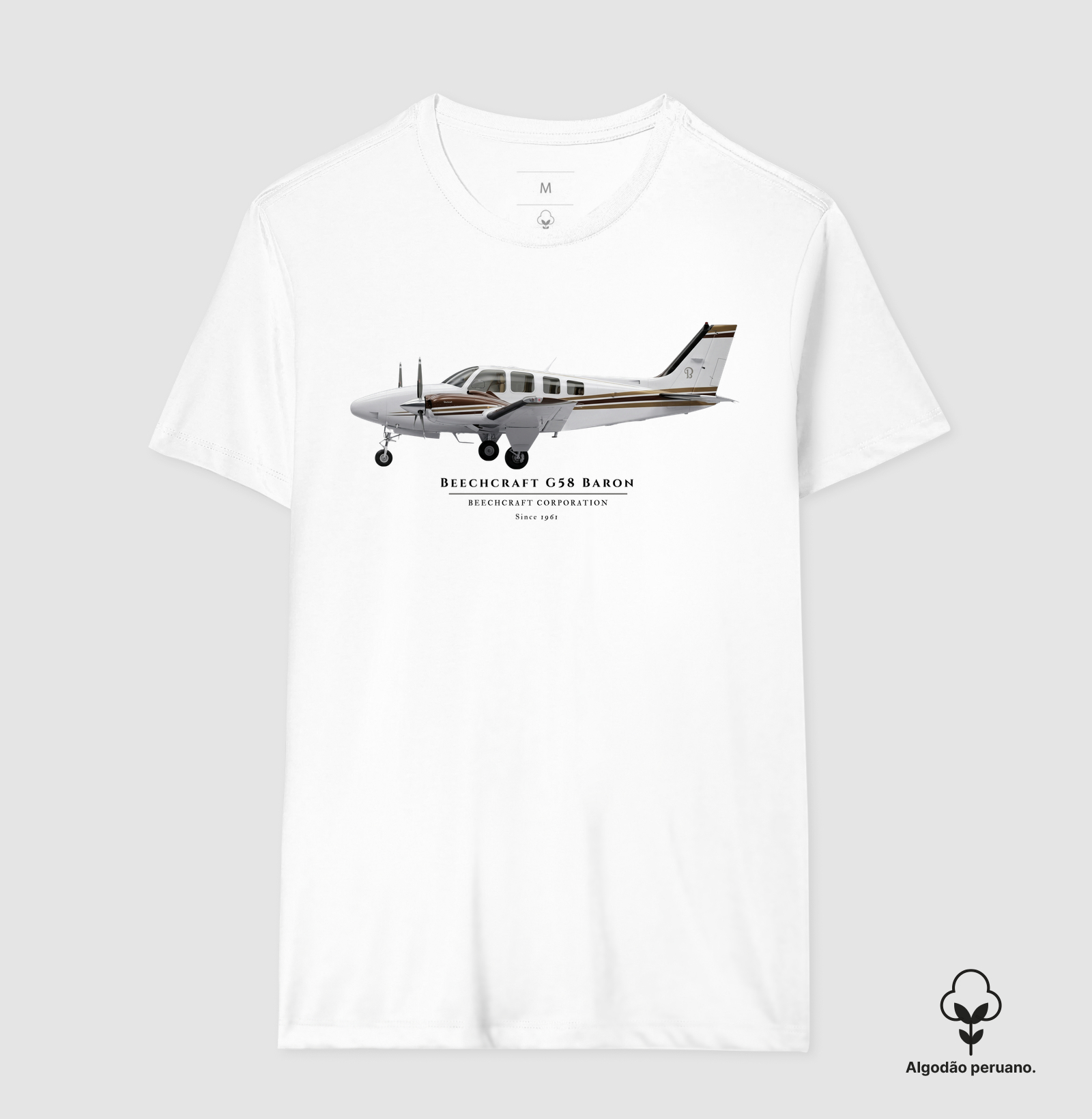 Beechcraft G58 Baron - PT-MIG | Profile - Imagem 3