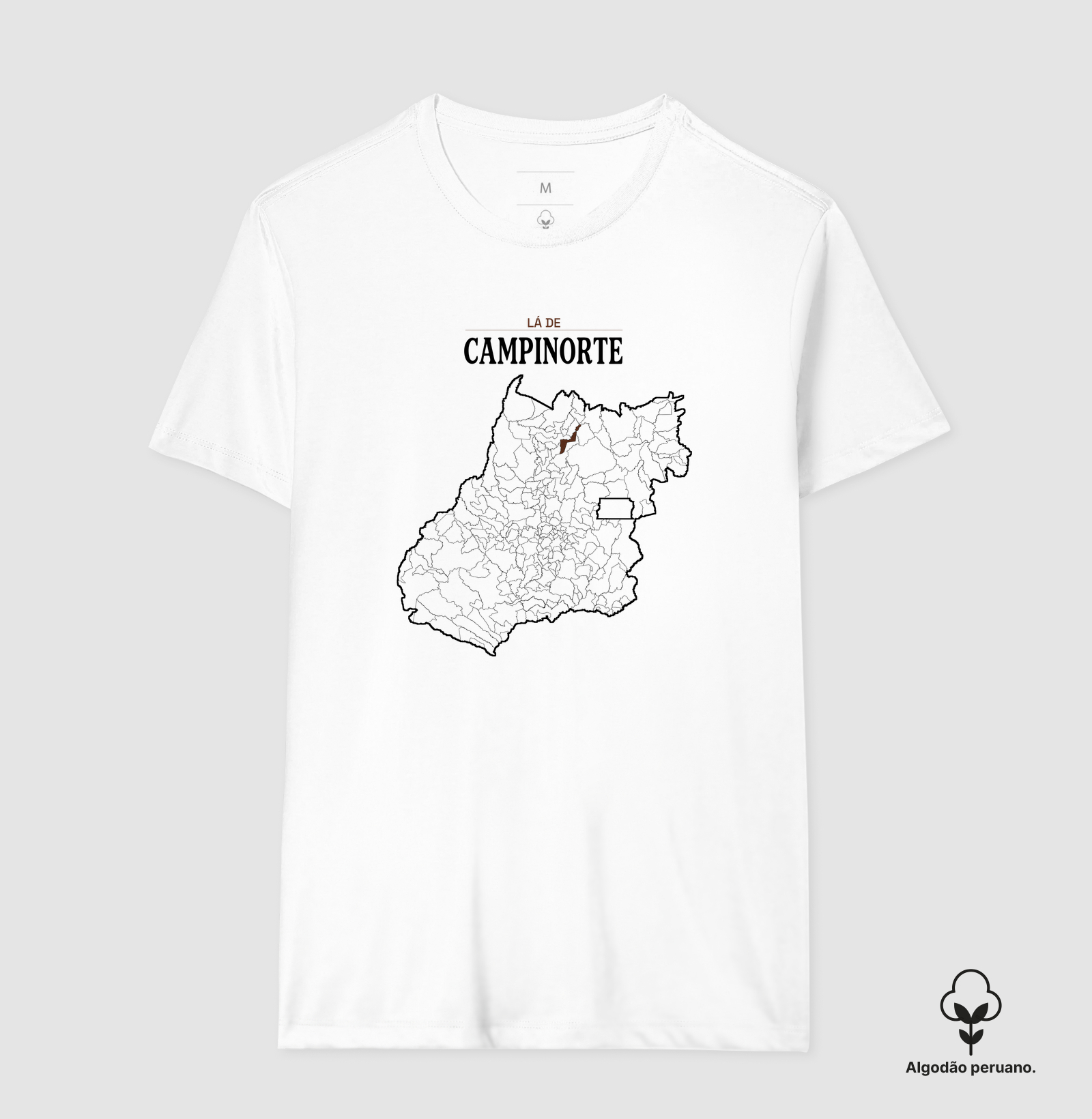 Campinorte | Território GO - Imagem 5