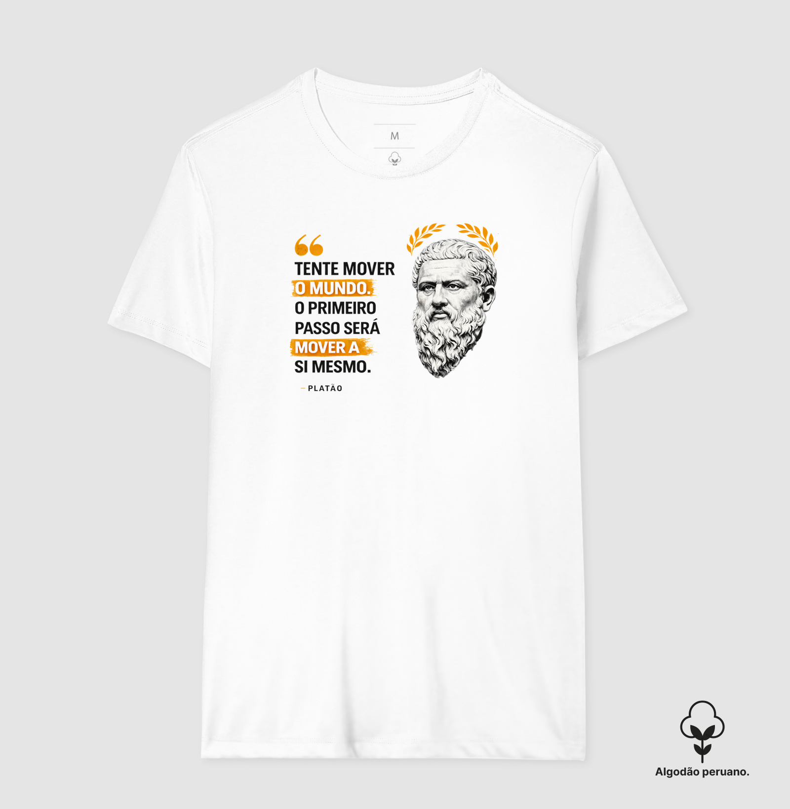 Filosofia de Platão " Tente mover o mundo" - Imagem 2