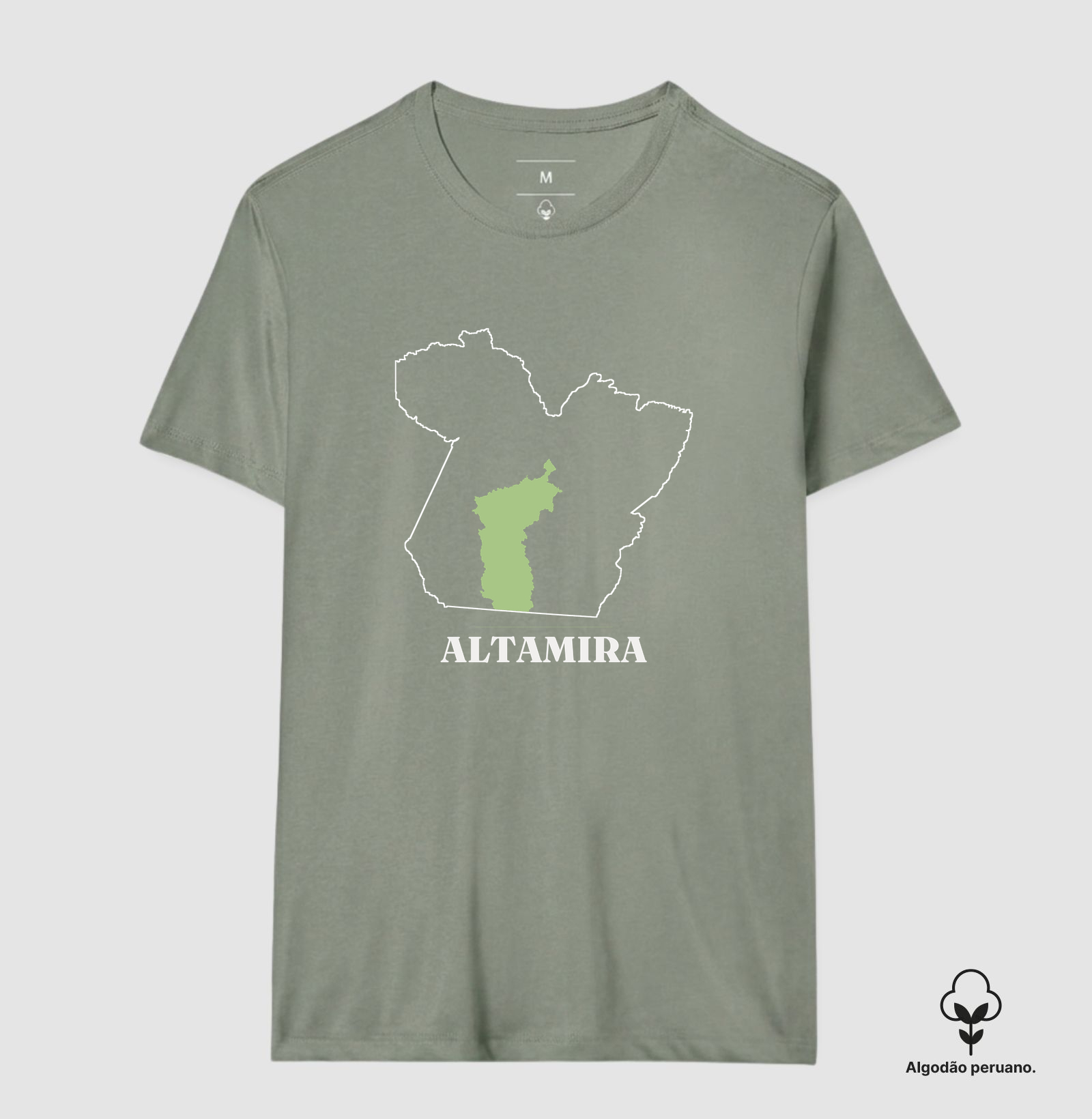 Altamira | Traço PA - Imagem 4
