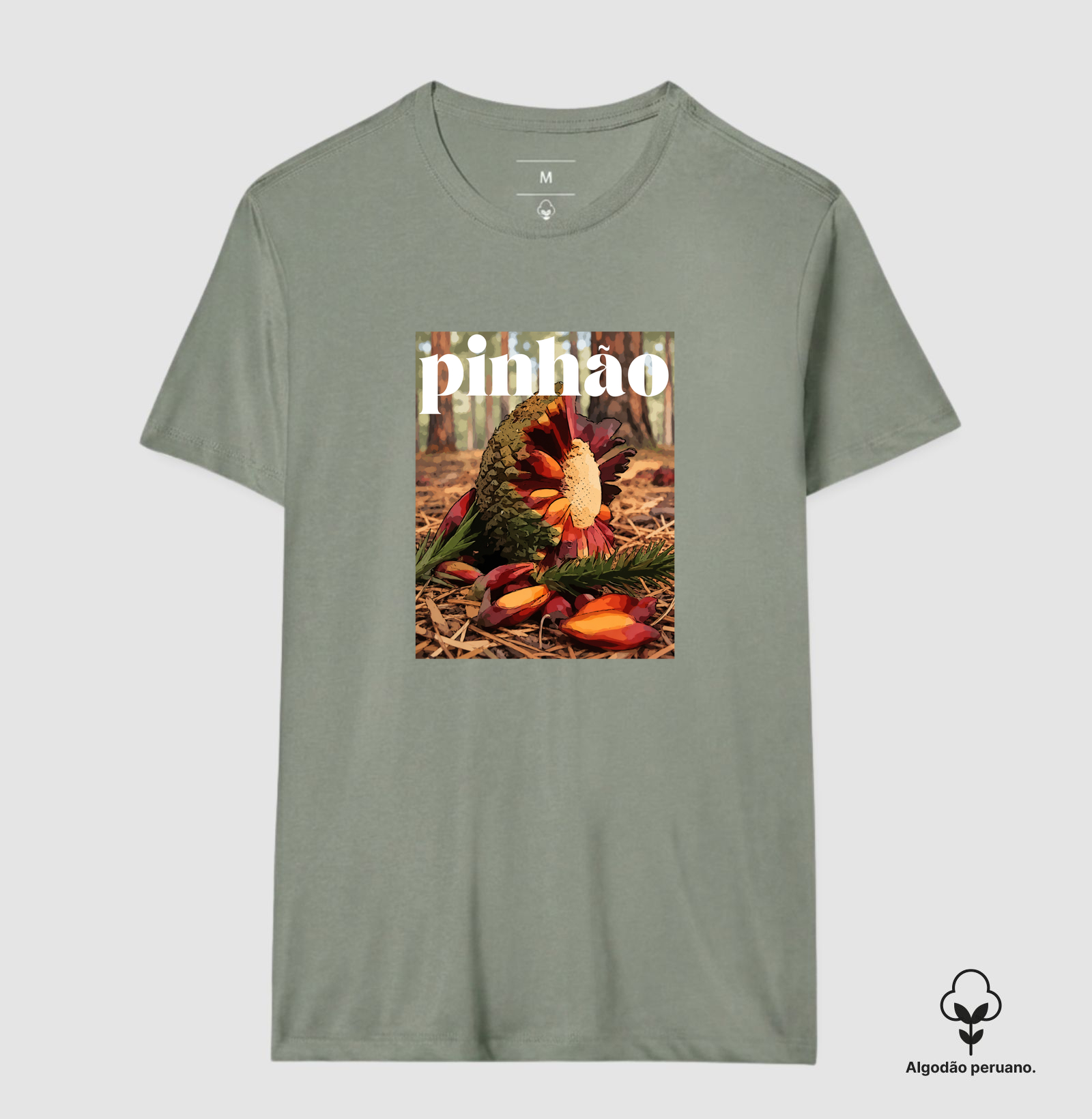 Pinhão - Imagem 6