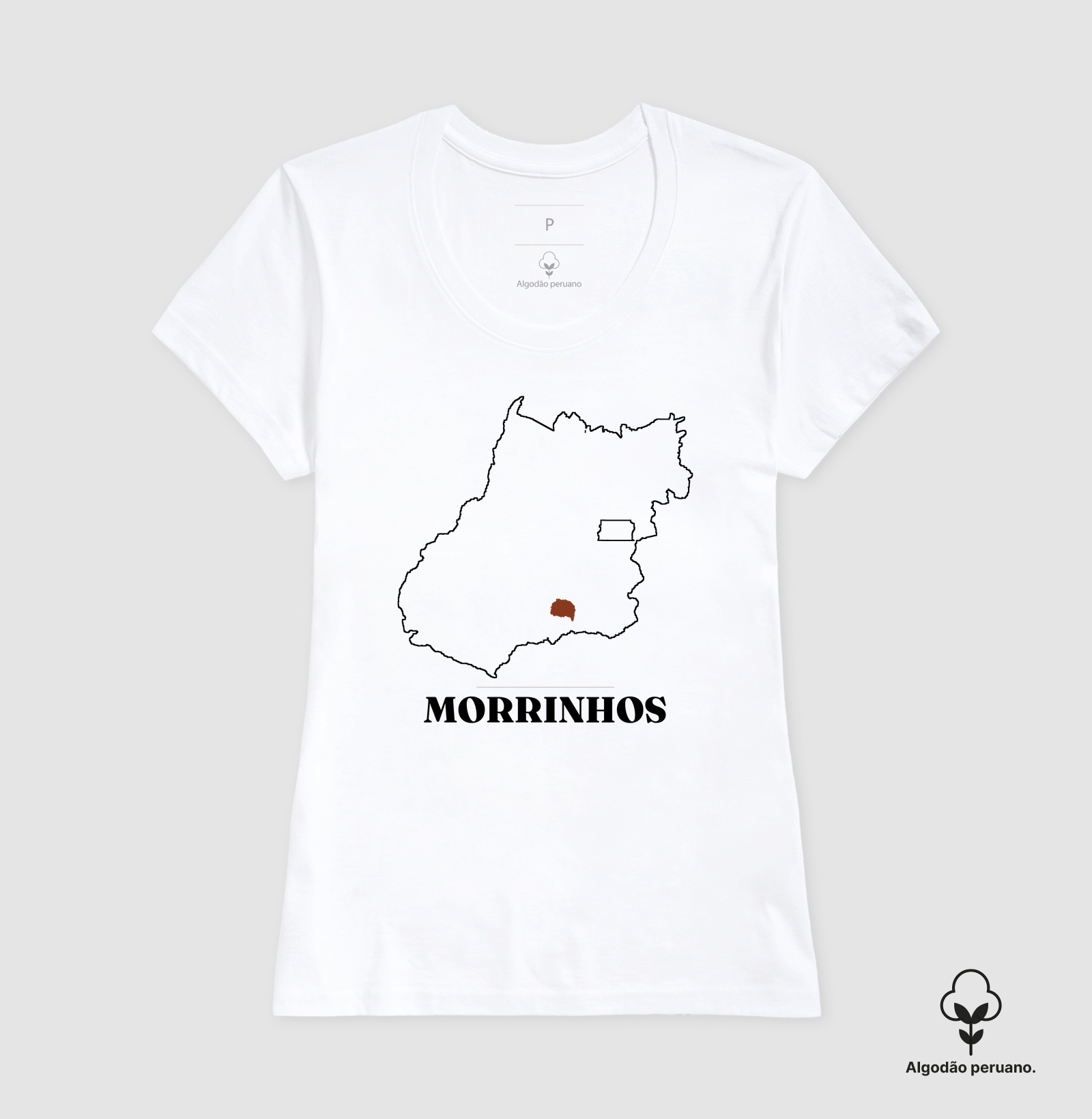 Morrinhos | Traço GO - Imagem 5
