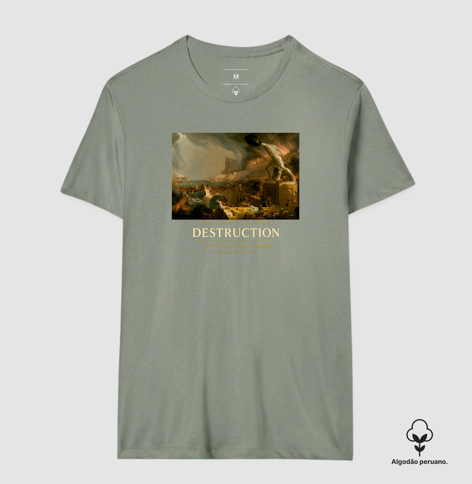 Camisa 6
