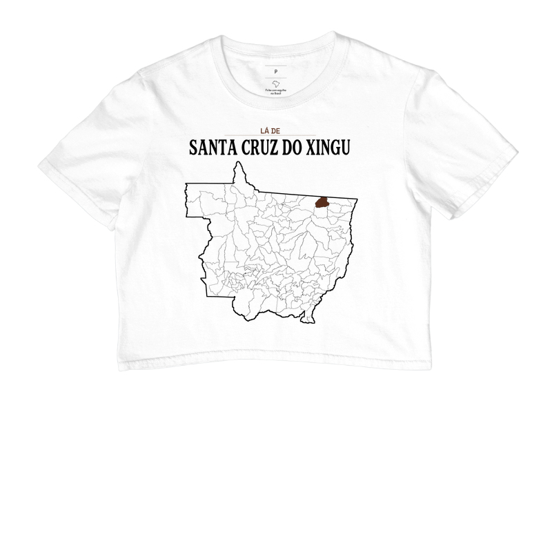 Santa Cruz do Xingu | Território MT - Imagem 3