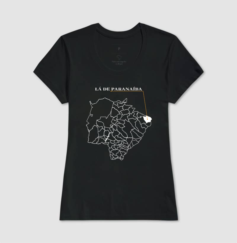 Paranaíba | Origem MS - Imagem 3
