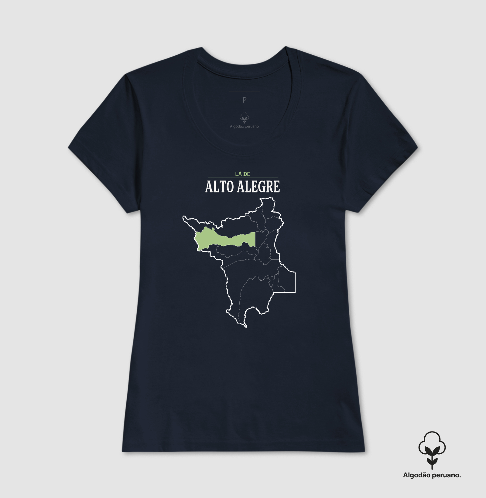 Alto Alegre | Território RR - Imagem 4