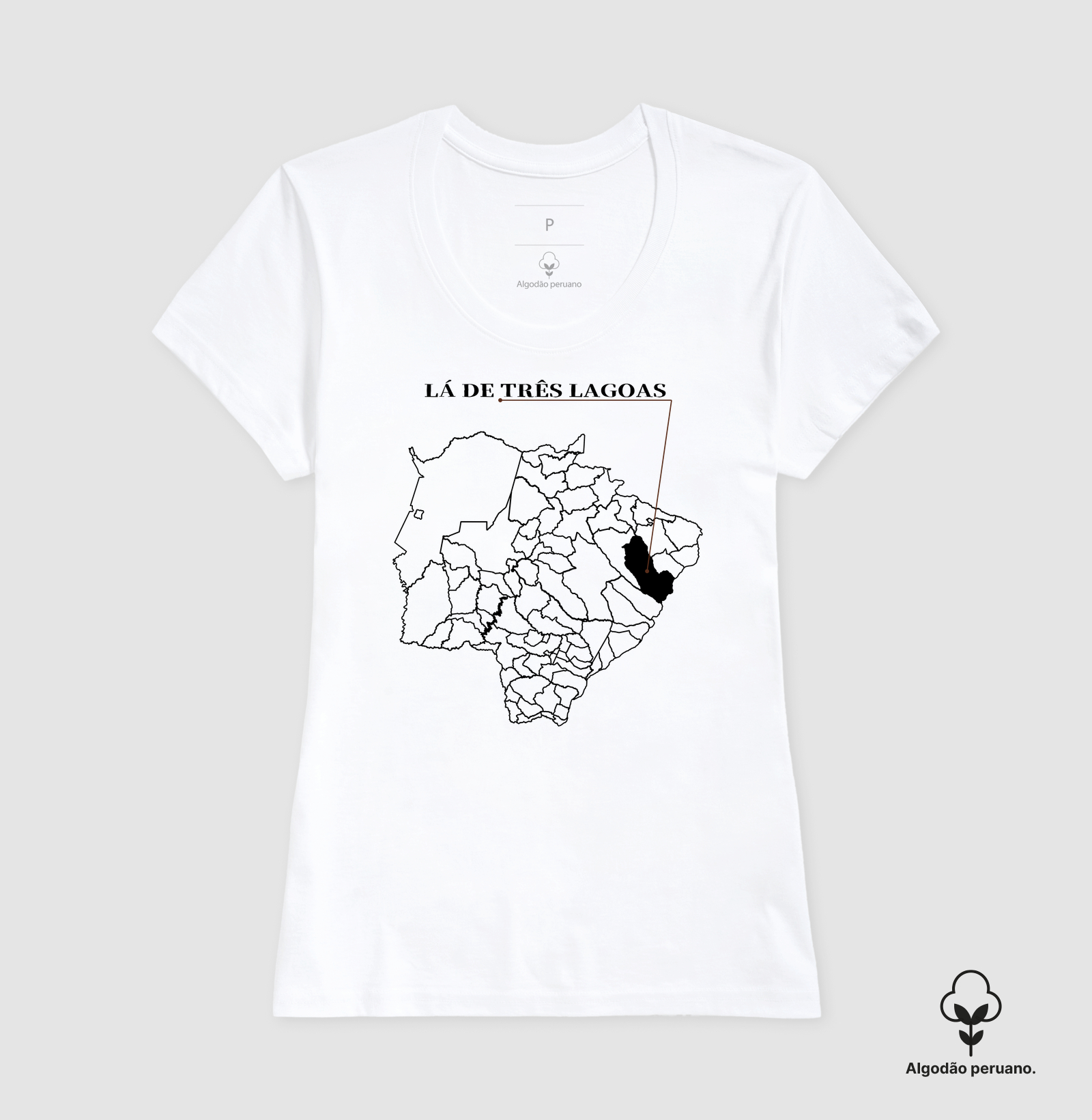 Três Lagoas | Origem MS - Imagem 2