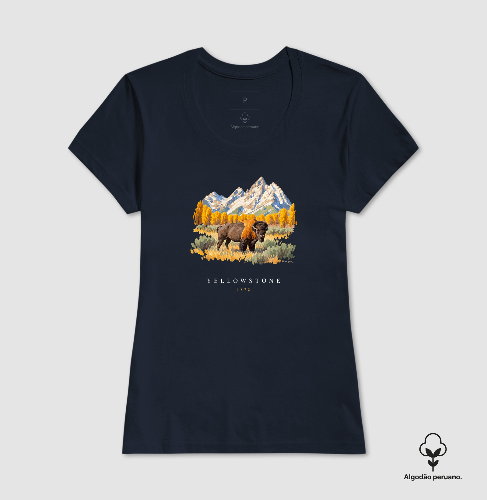 Bison - Yellowstone - Imagem 2