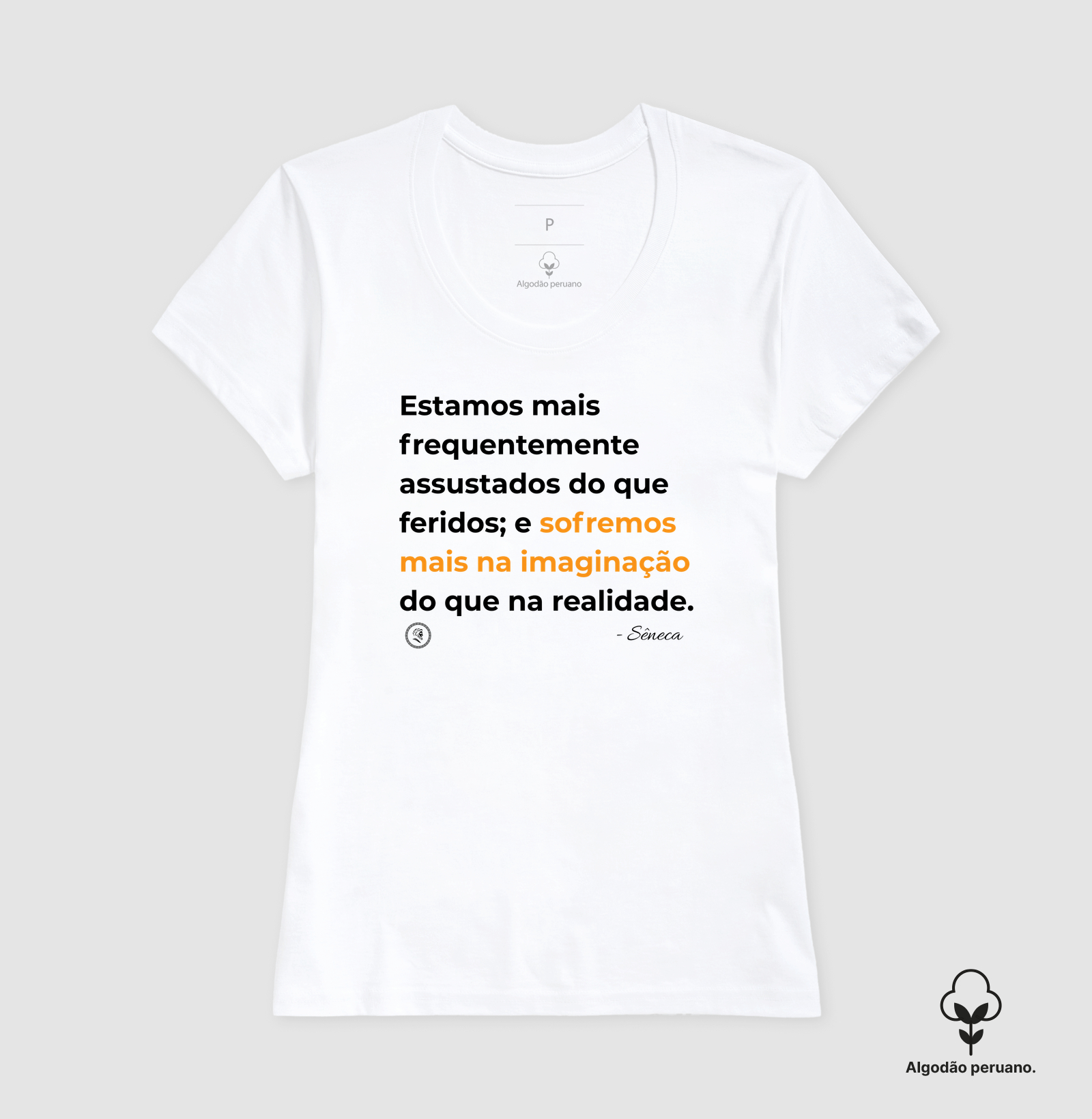 Filosofia Estoicismo de Sêneca "Sofremos mais na imaginação" - Imagem 6