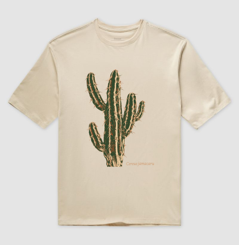 Mandacaru - Imagem 3