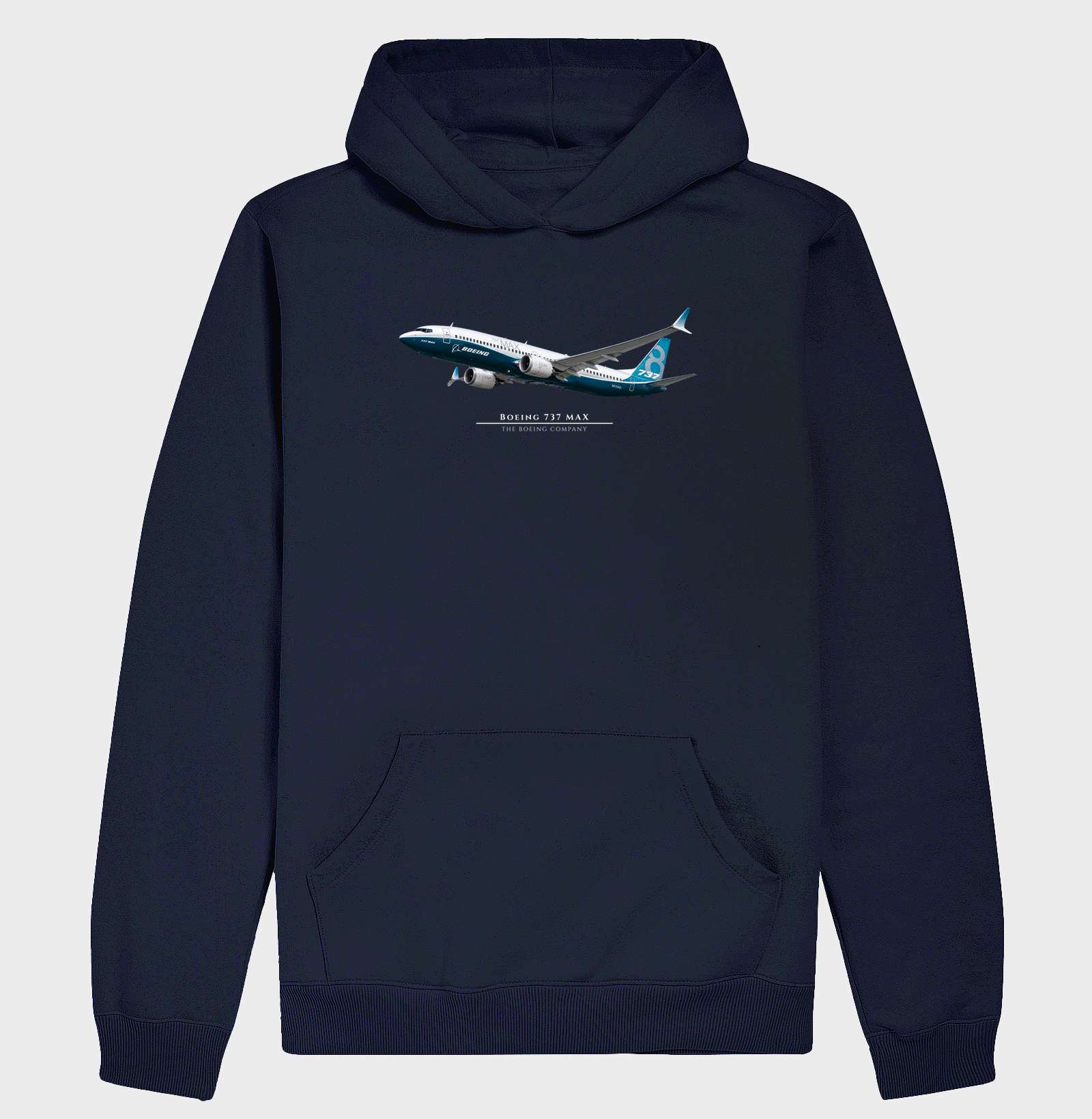 Boeing 737 MAX - Imagem 4