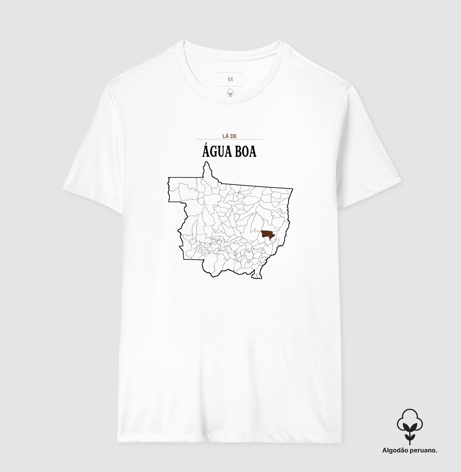 Água Boa | Território MT - Imagem 2