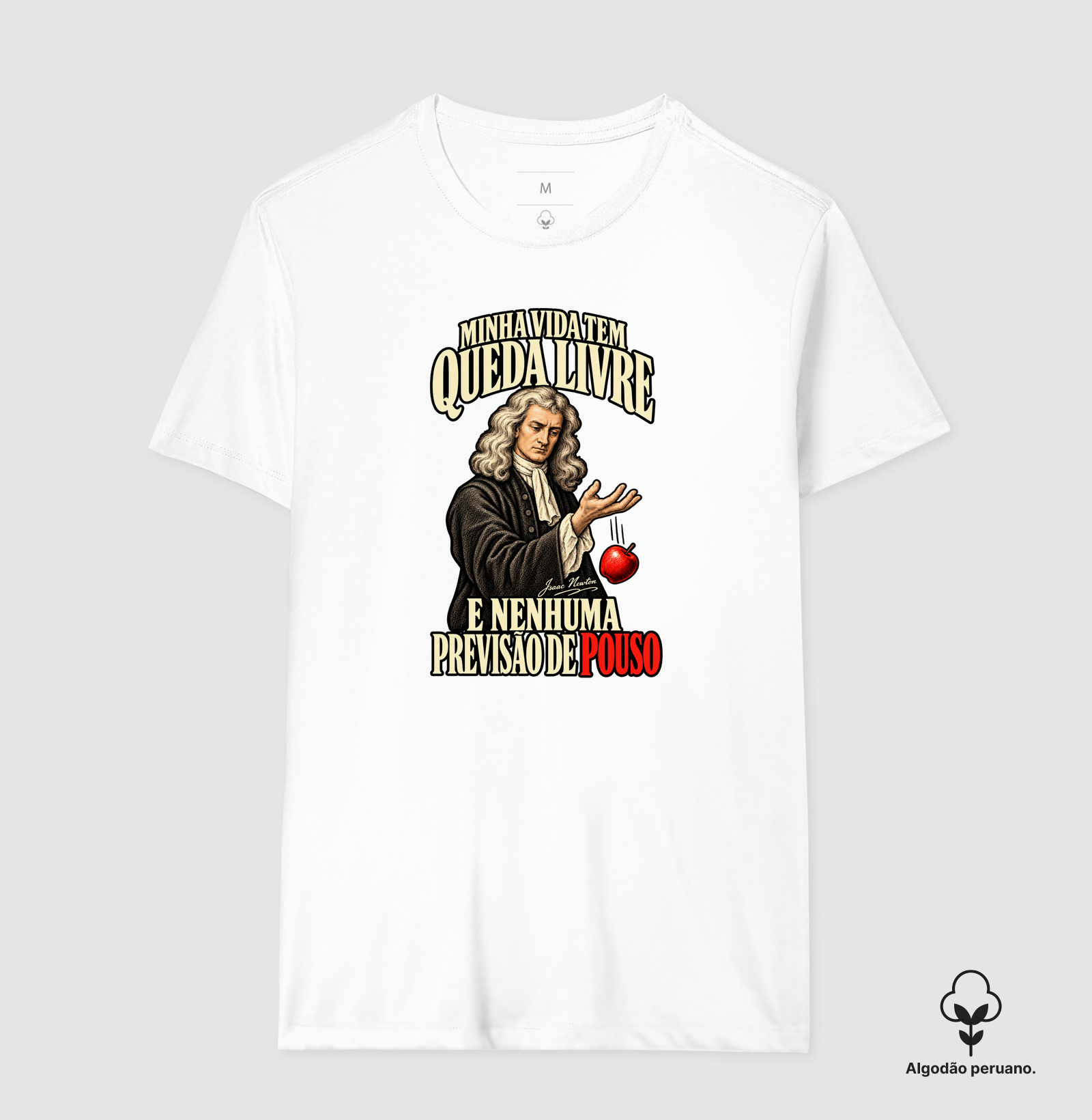 Vida tem Queda Livre - Isaac Newton - Imagem 2