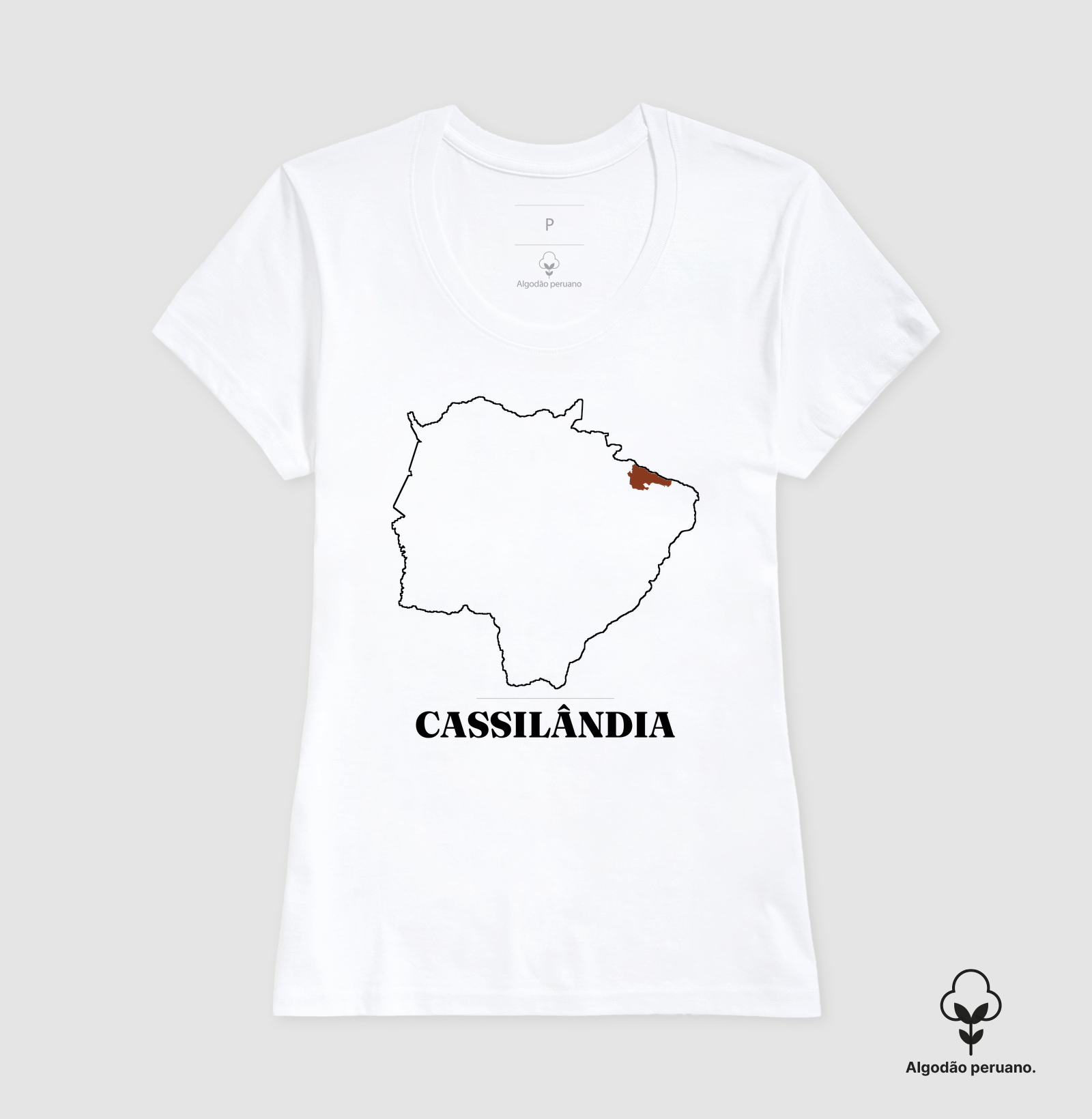 Cassilândia | Traço MS - Imagem 5