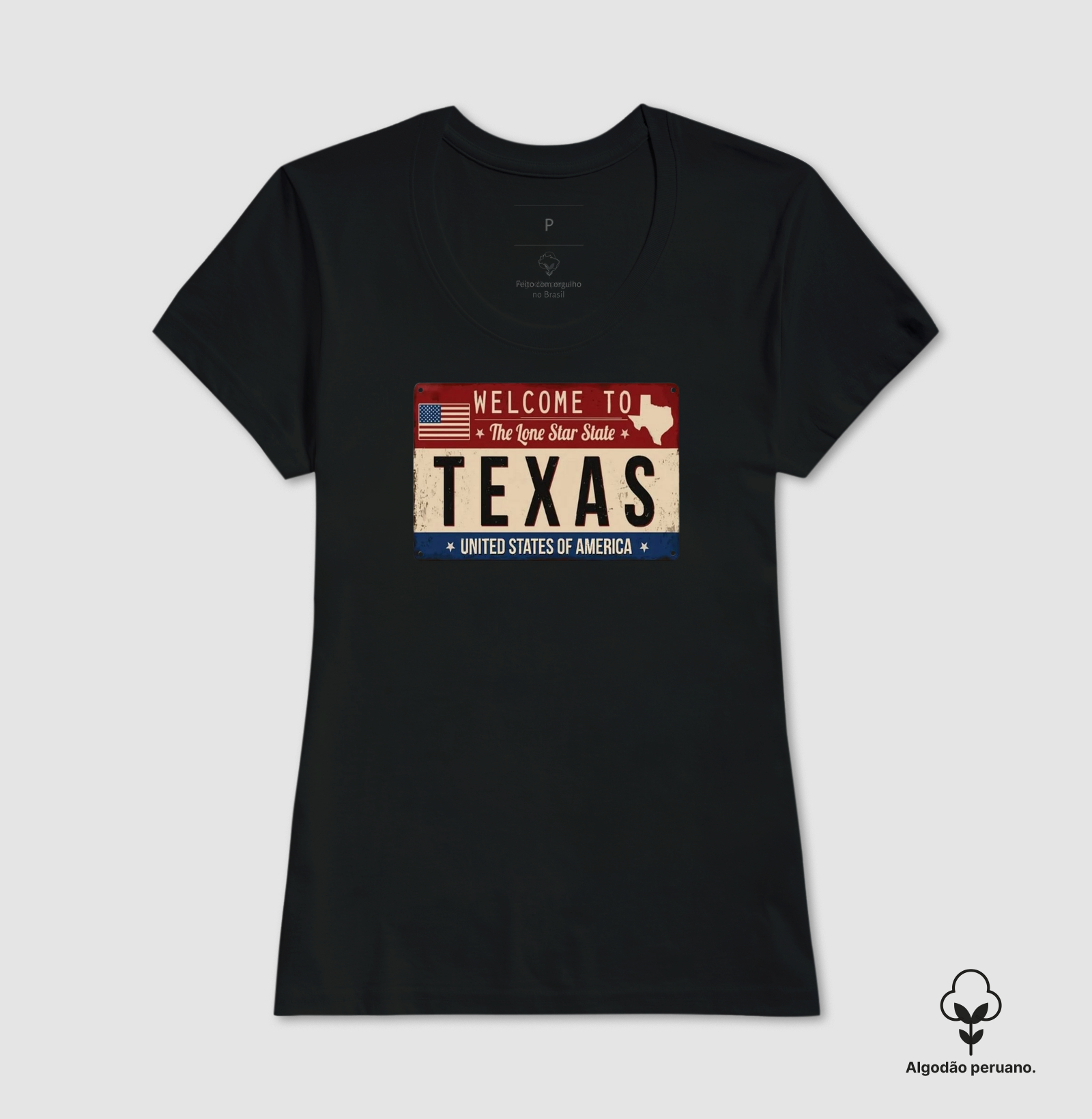 Texas (placa envelhecida) - Imagem 5