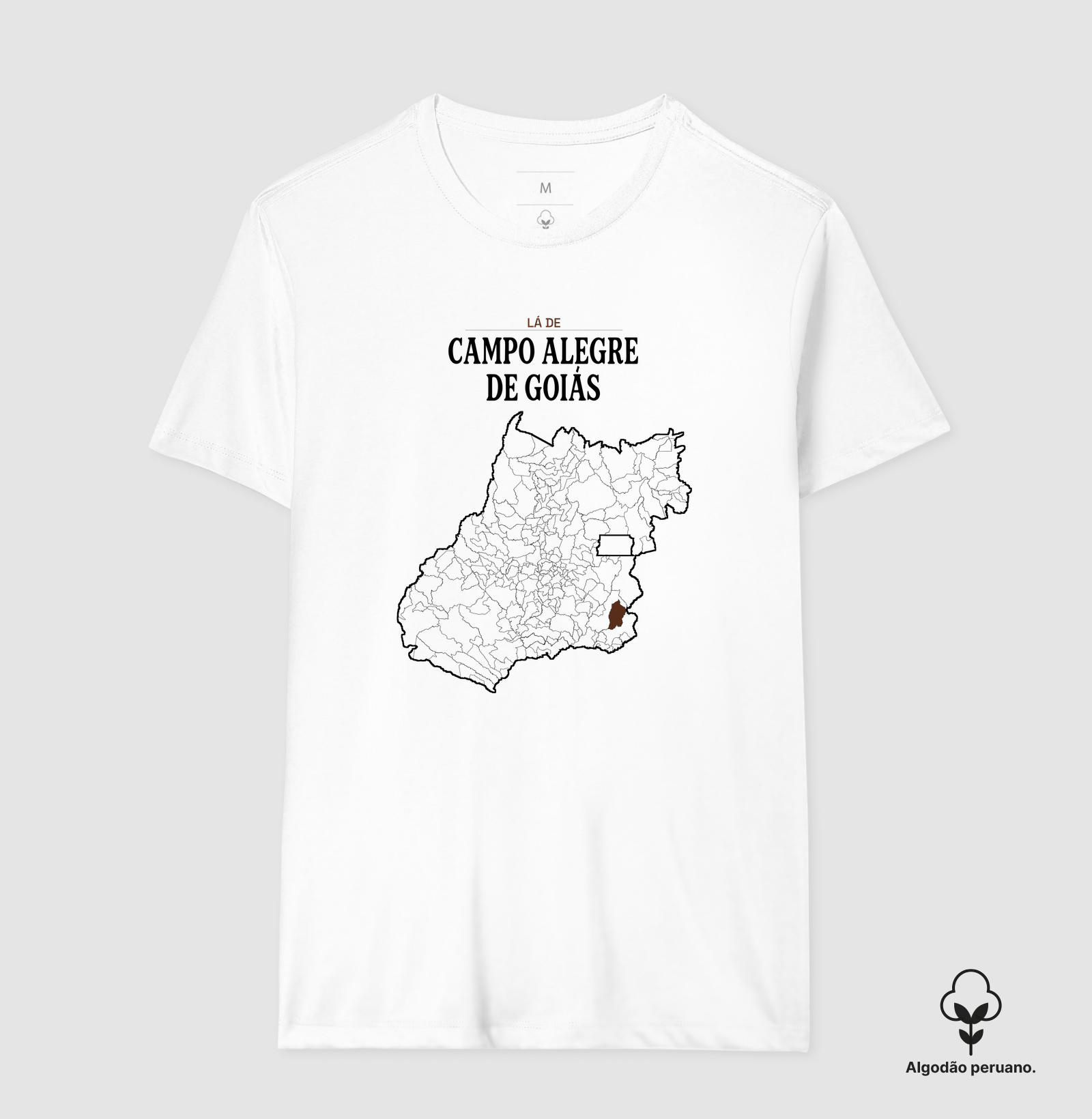 Campo Alegre de Goiás | Território GO - Imagem 5