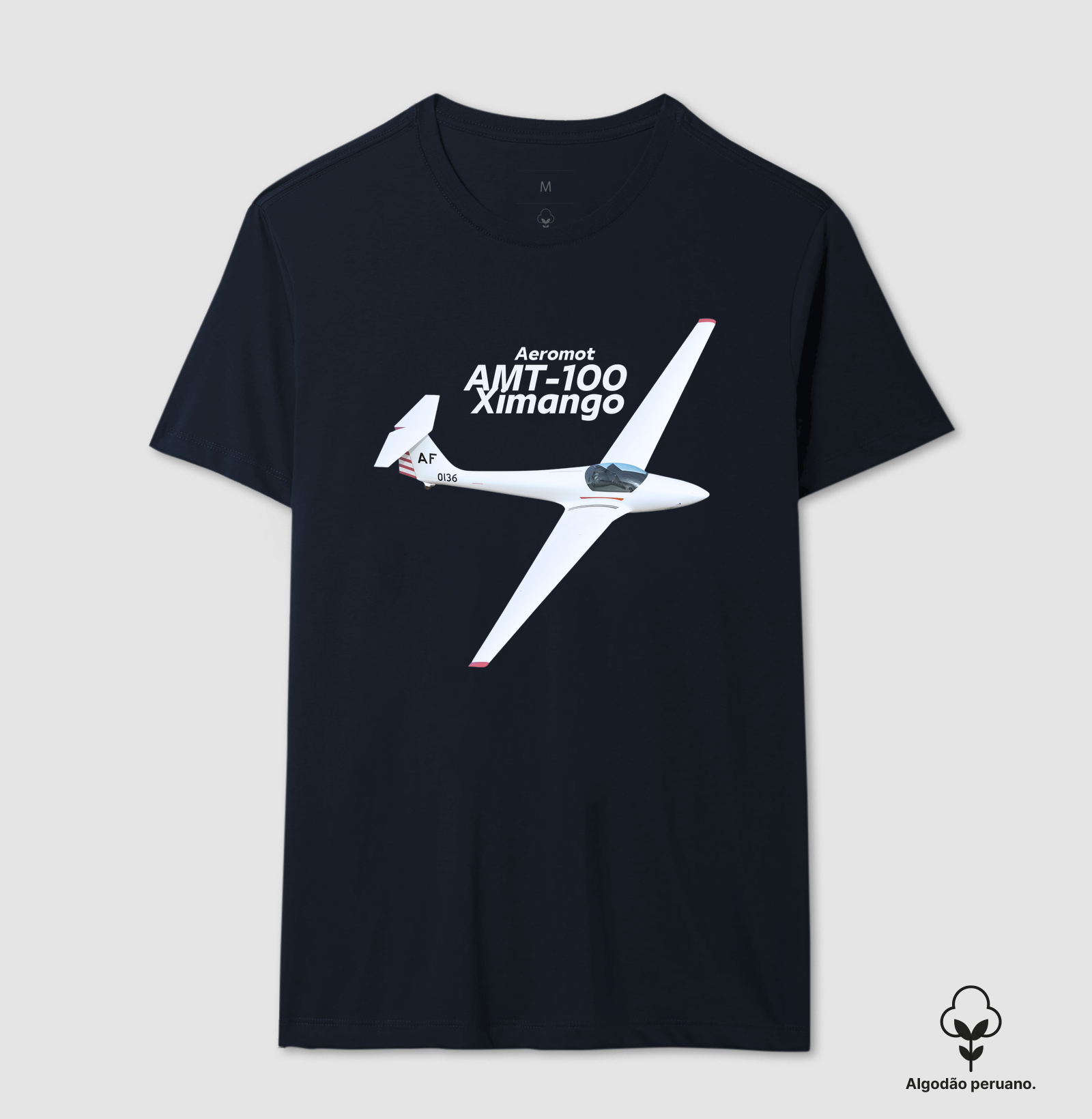 Planador - EMB-400  Ximango Aeromot - Imagem 8