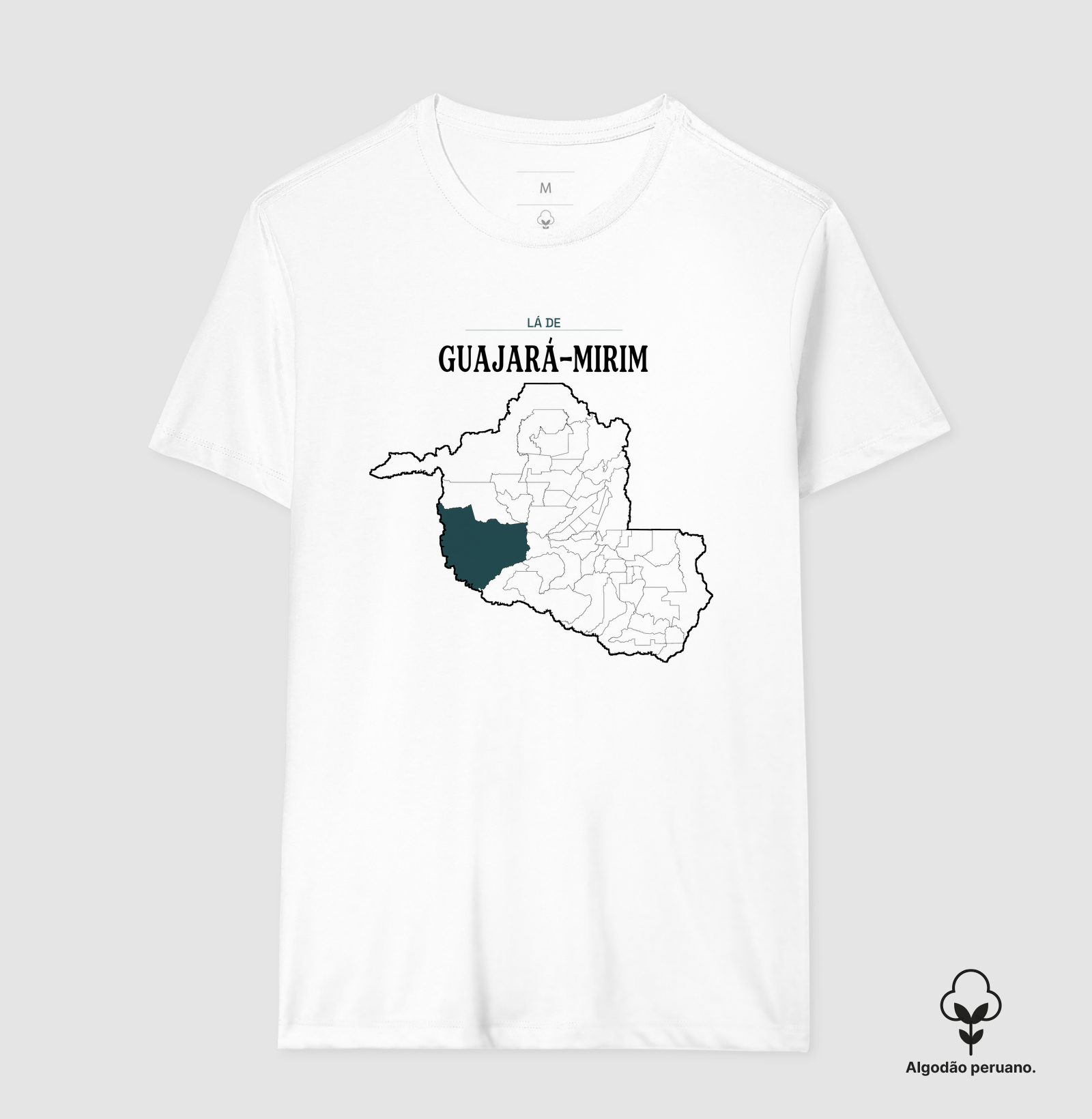 Guajará-Mirim | Território RO - Imagem 6