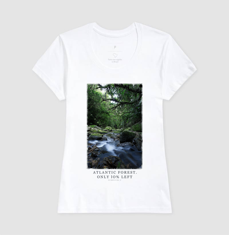 Atlantic Forest - Imagem 3